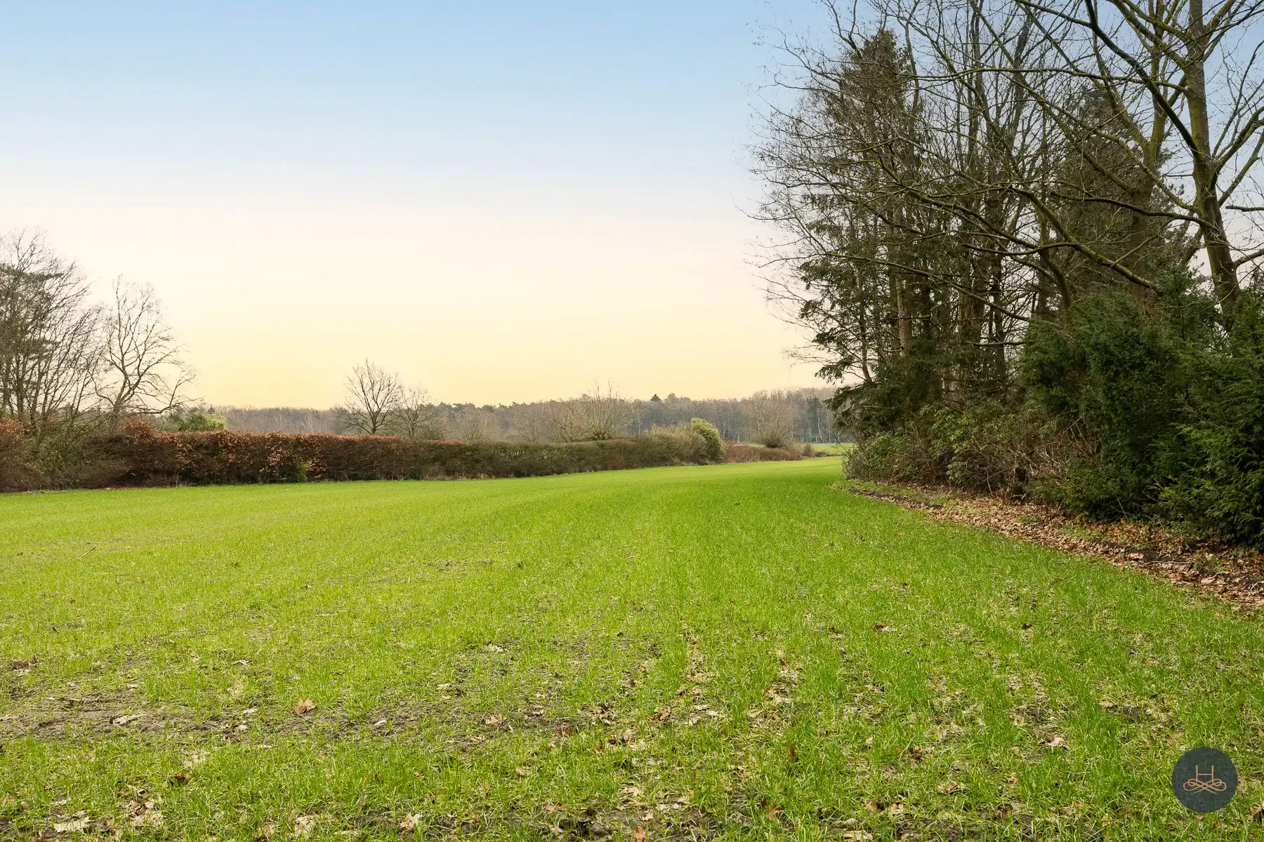 Unieke bouwgrond met weiland in Brasschaat foto 5