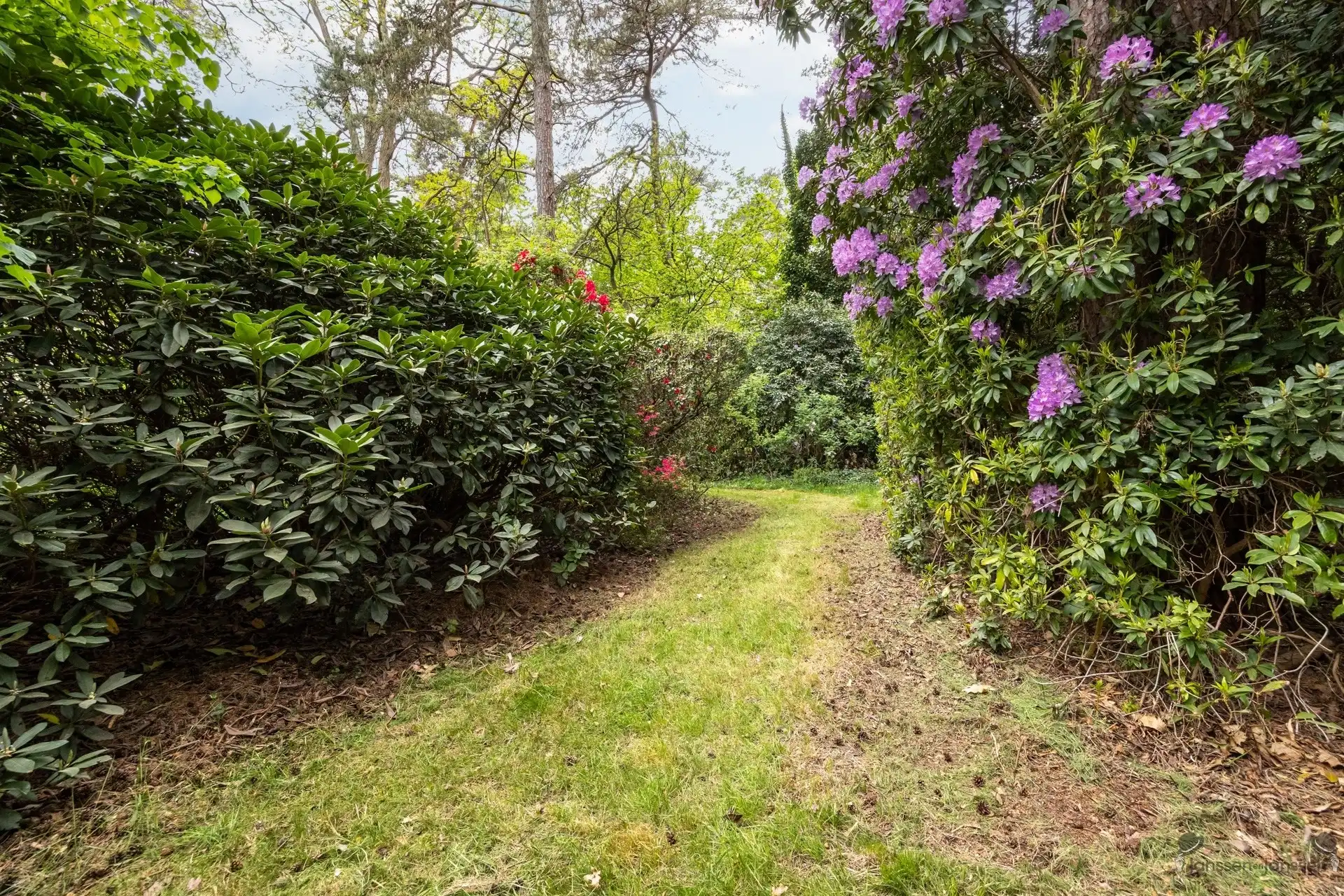 Karaktervolle cottage-villa op een royaal perceel van 8.603 m² in Kapellenbos. foto 42