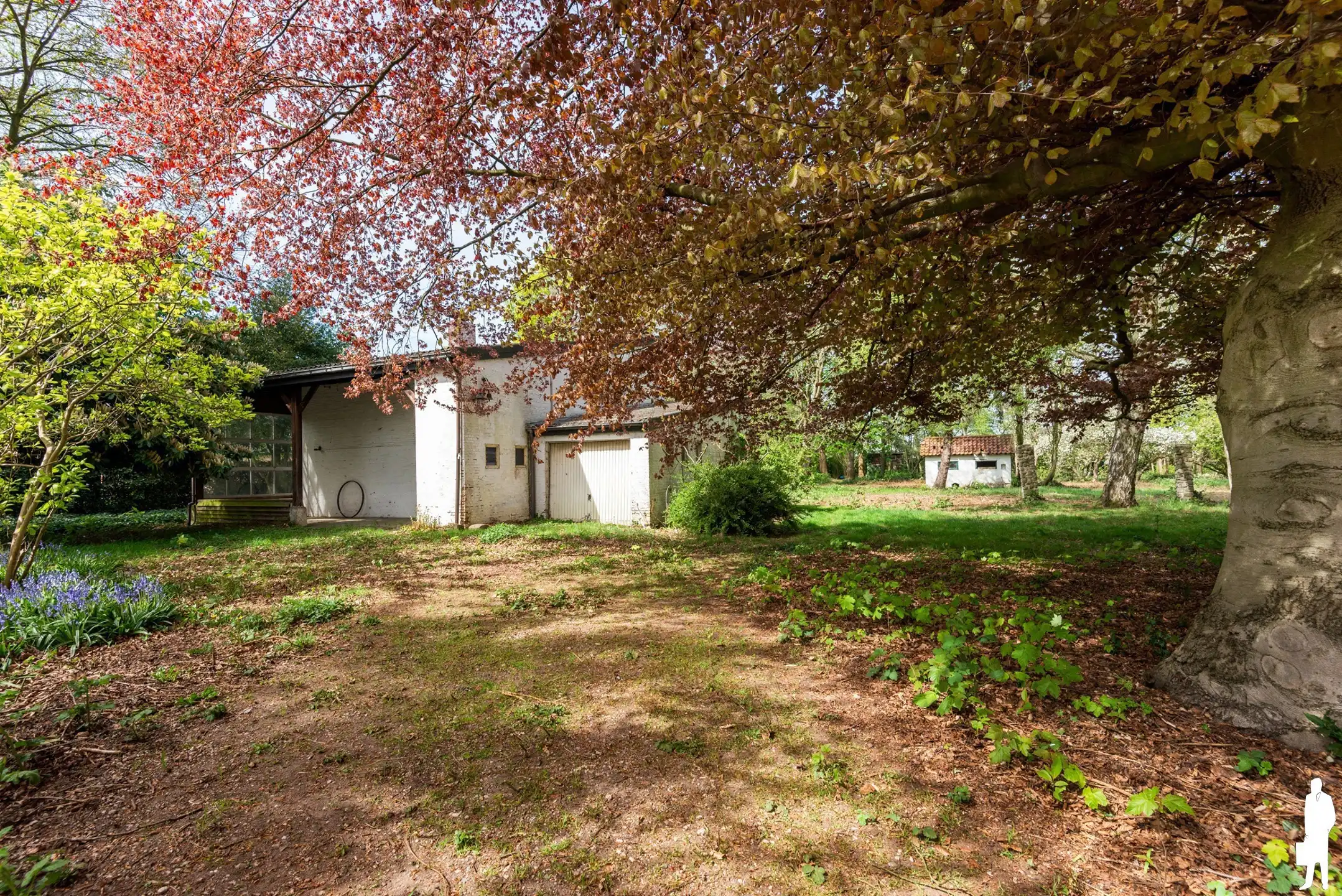 Fantastische bouwgrond (ca6685m²) met prachtige parktuin/bos foto 10