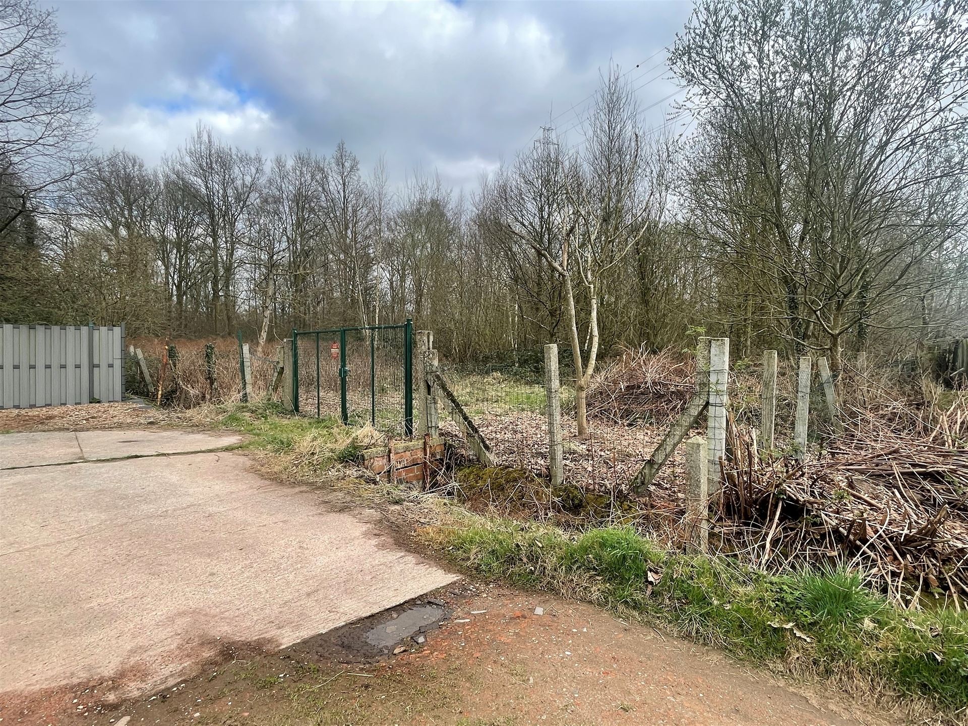 Weiland / Bouwland foto 3