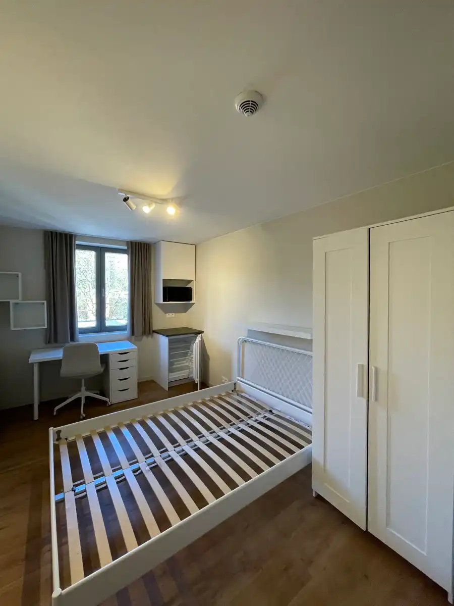 Luxueus studeren in Leuven!  foto {{pictureIndex}}