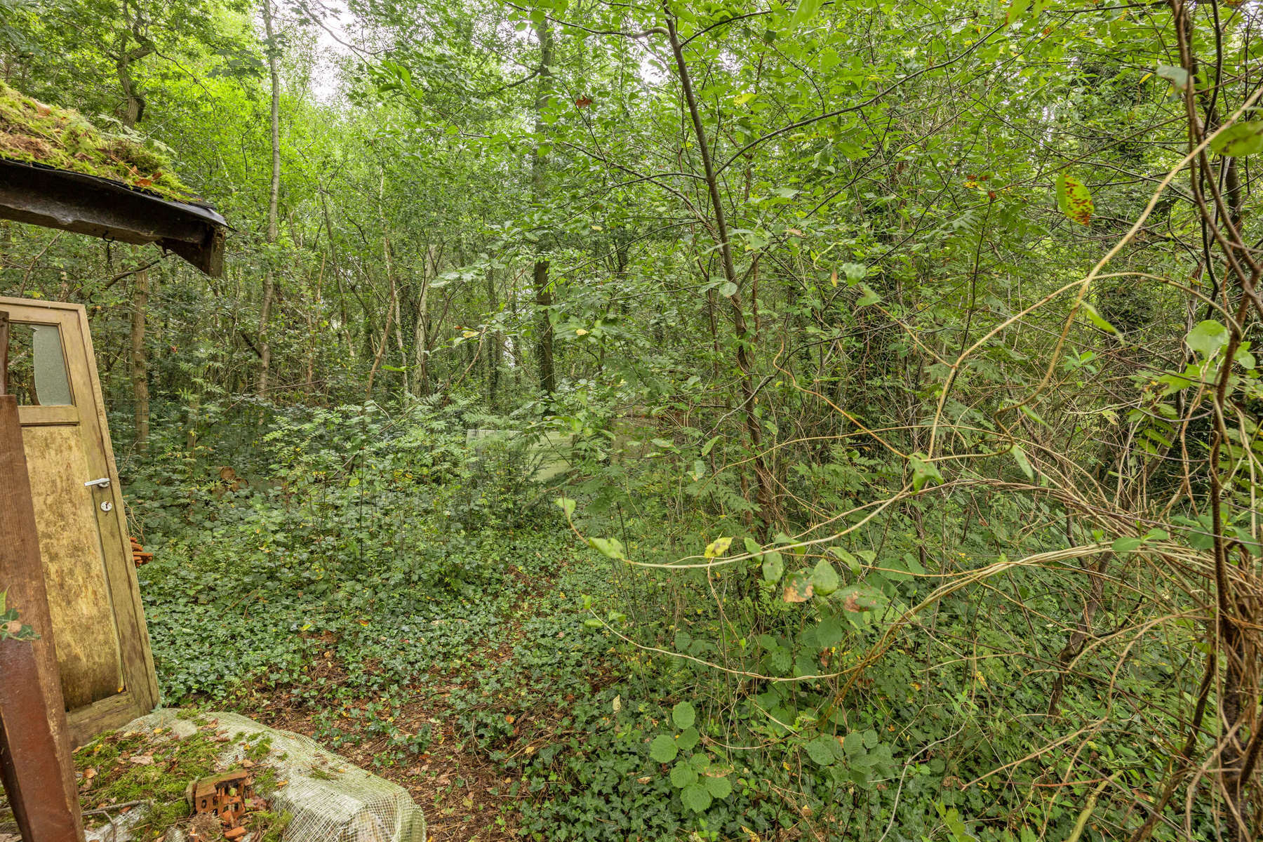 Genieten van eenvoud in een groen kader foto 17