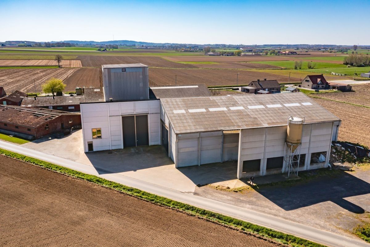Hoeve met veevoederfabriek te koop te Poperinge (Watou) foto 10