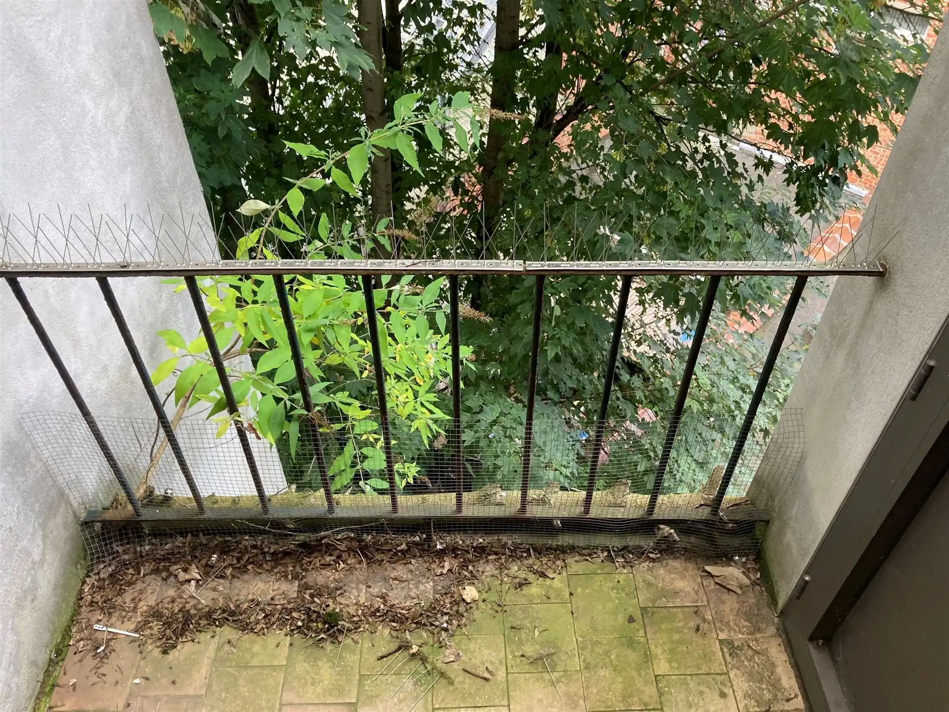 Lichtrijk 1SK Appartement  - Dailly/Europese Wik  foto 12