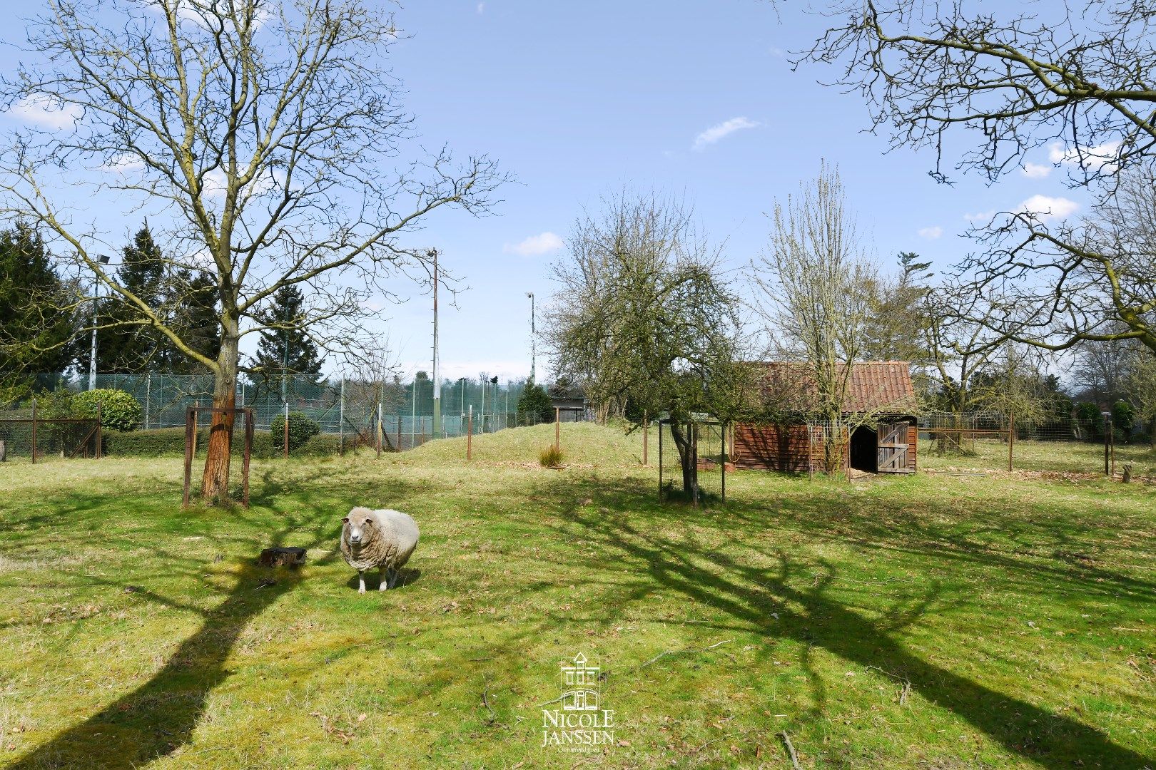 Ruime villa op een royaal perceel foto 33