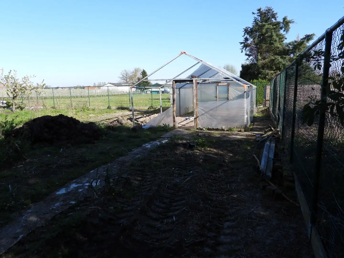 Charmante open bebouwing met karakter in Geetbets ; Halstraat 14 foto 6