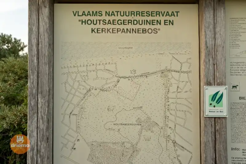 Te renoveren 3 slaapkamer appartement - Diga Verde 1.11 foto 7