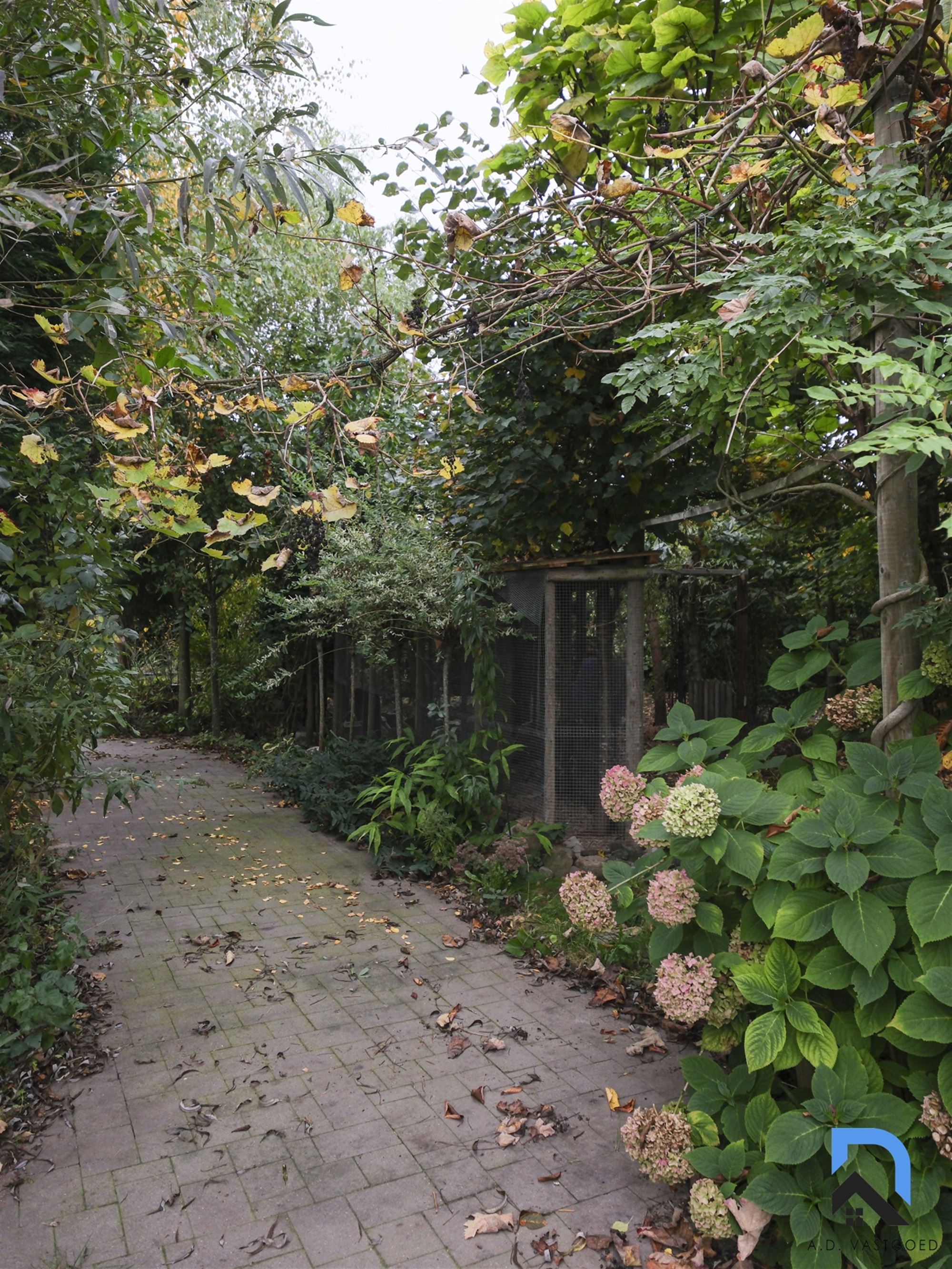 Ruime vrijstaande woning in Eigenbilzen foto 26
