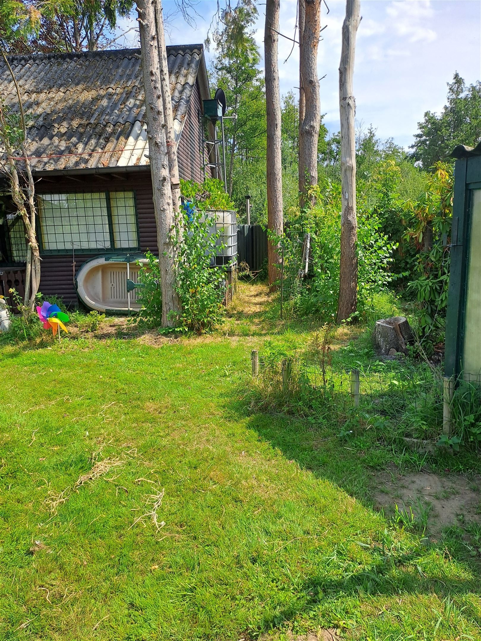 Vijver foto 10