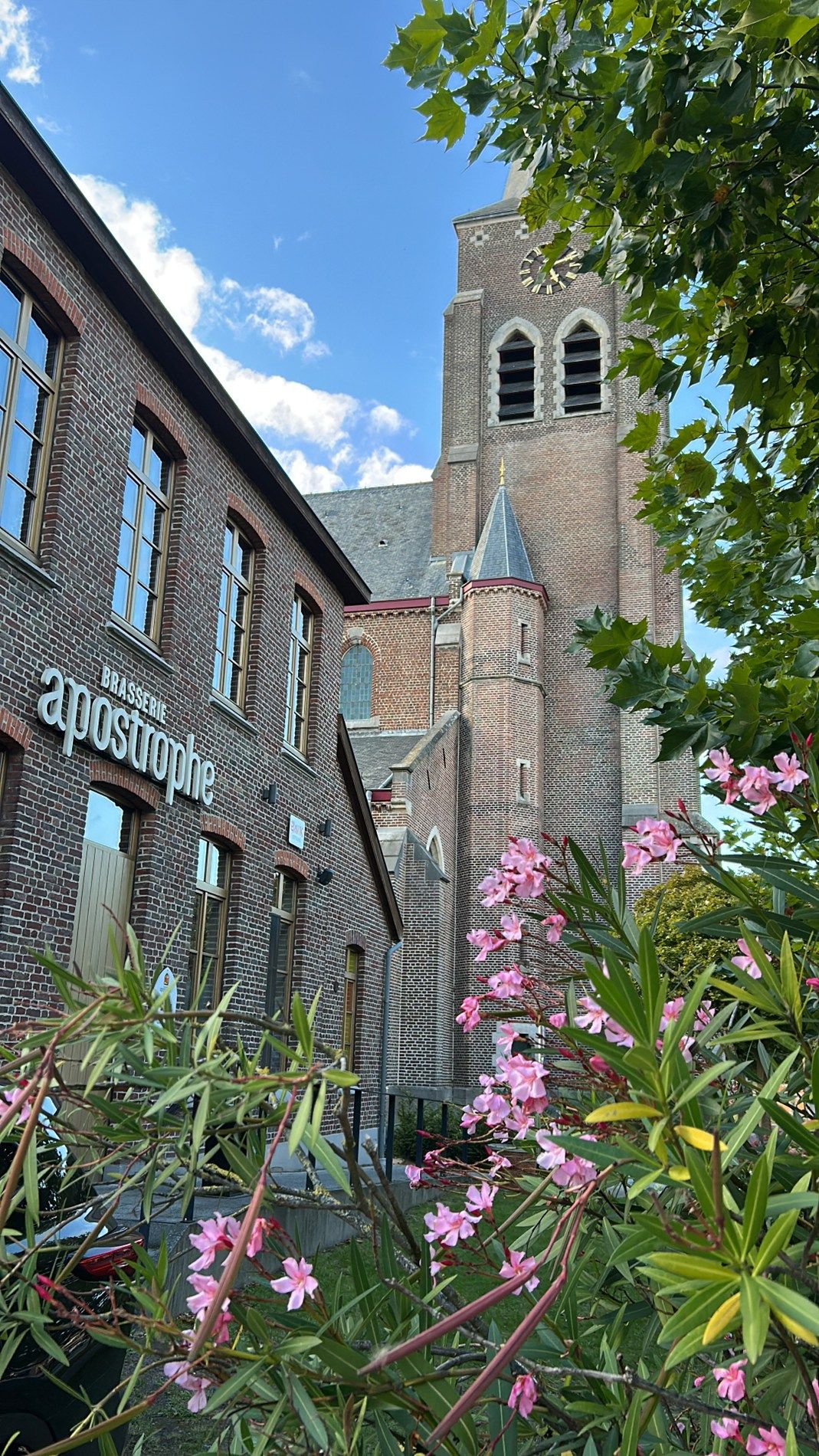 Stijlvol nieuwbouwproject in het centrum van Olsene! foto 8