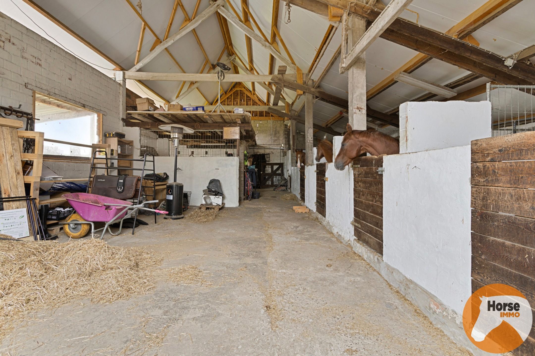 MASSEMEN - Landelijke woning met magazijn/ paardenstal foto 22