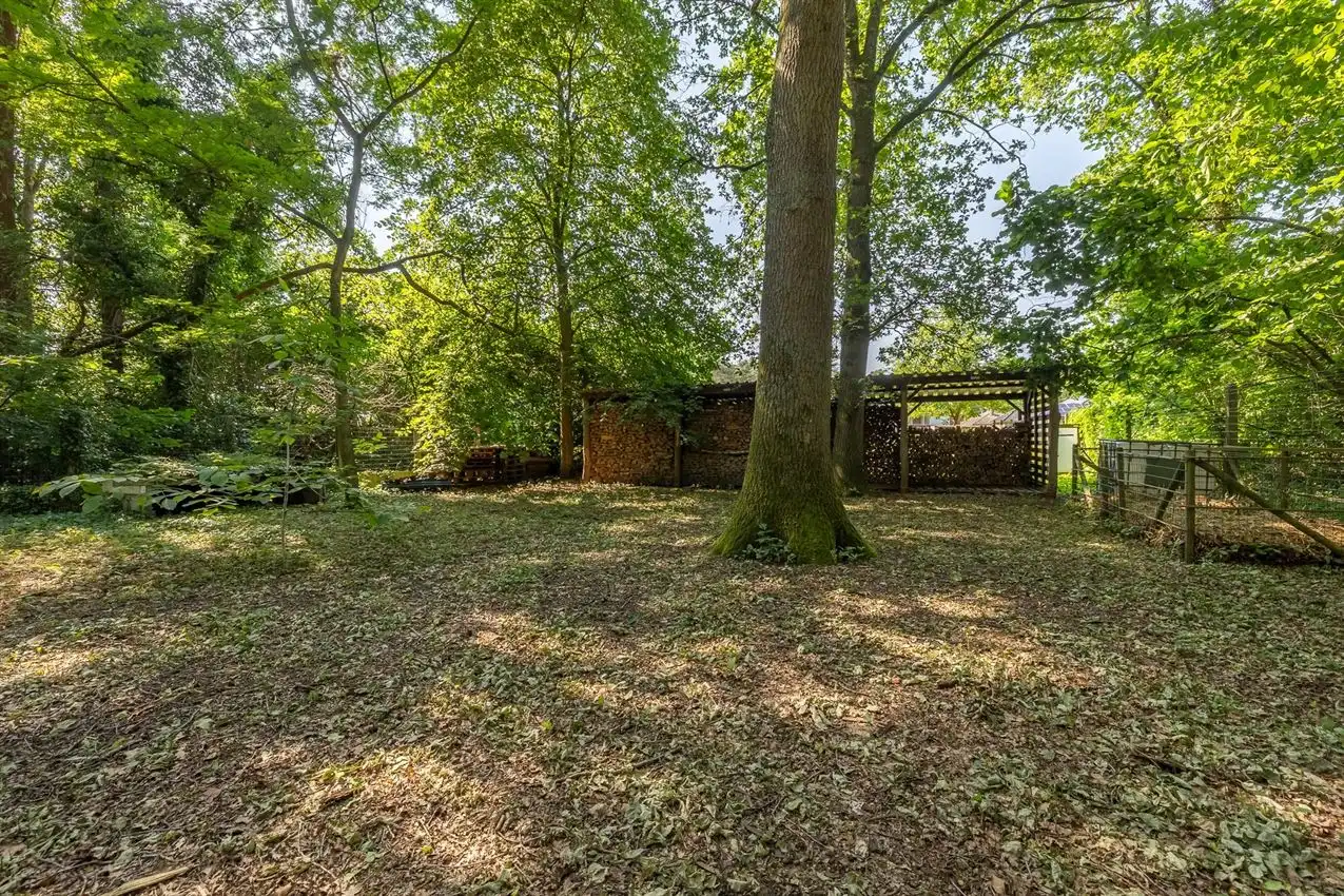 Retrokarakter, diepe tuin en bosgevoel achteraan foto 7