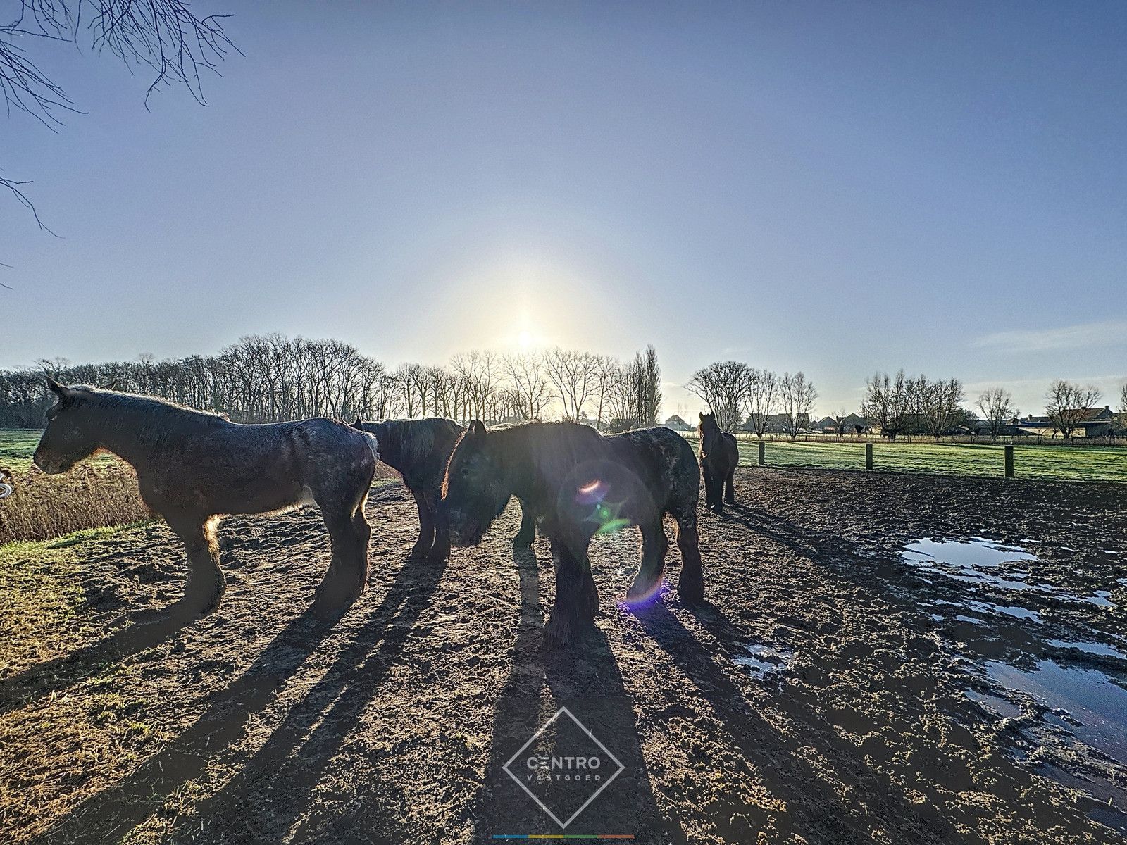 UNIEK gelegen hoeve op TOPligging te Zuienkerke! foto 22