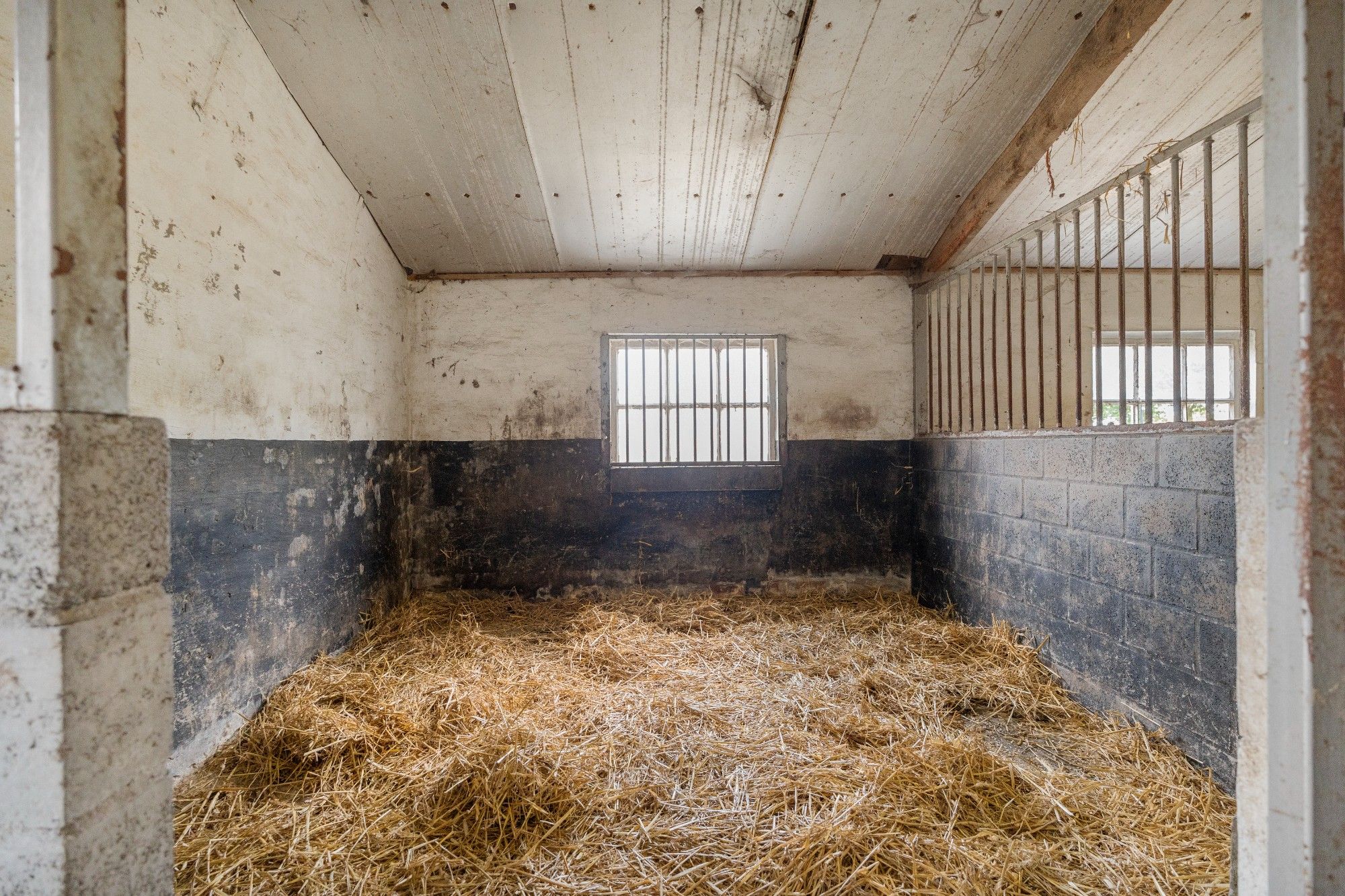 Charmante hoeve met paardenstallingen en schuur op 11.908 m² vlakbij het Drongengoed foto 31