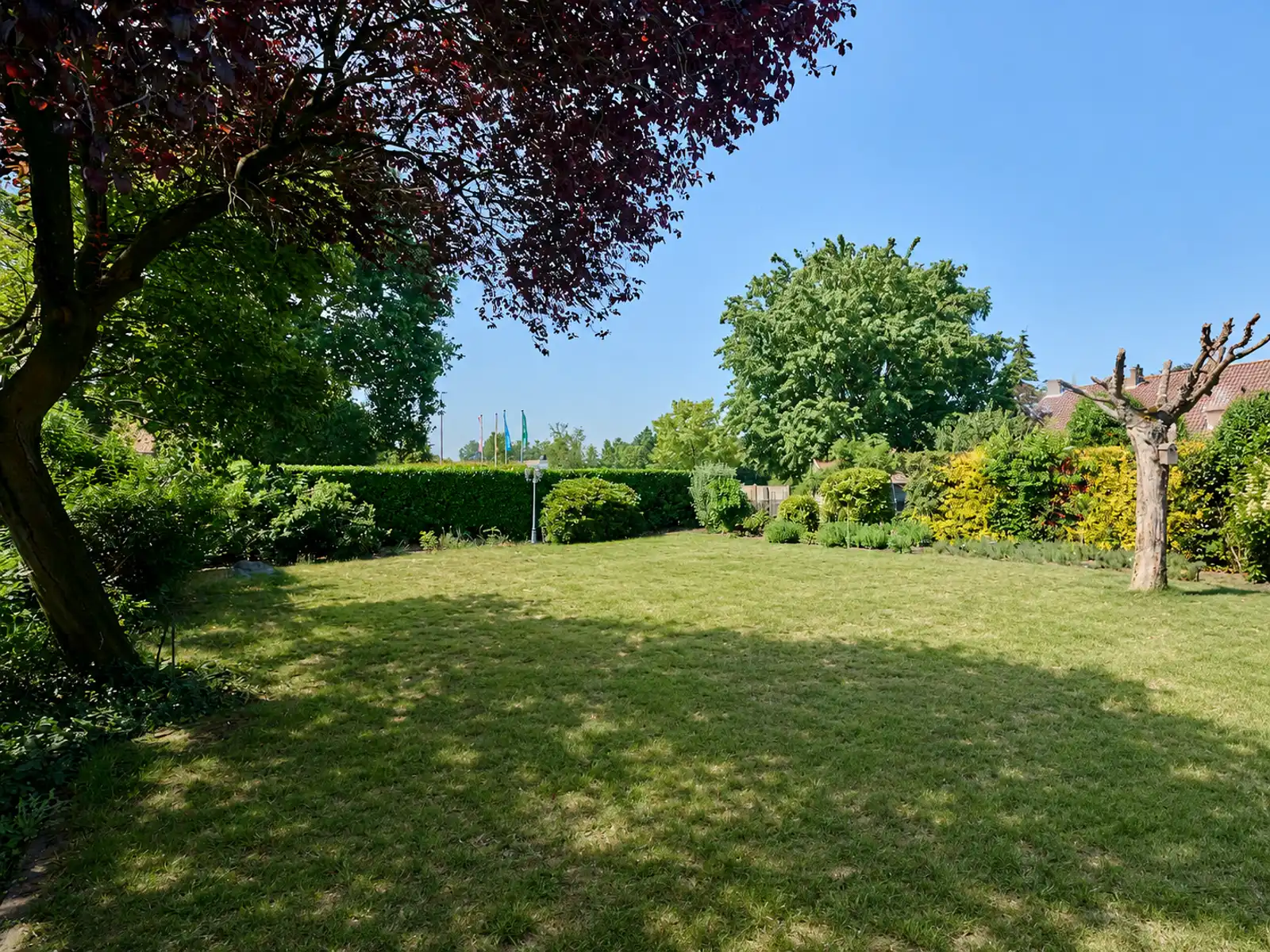 Huis te koop foto 21