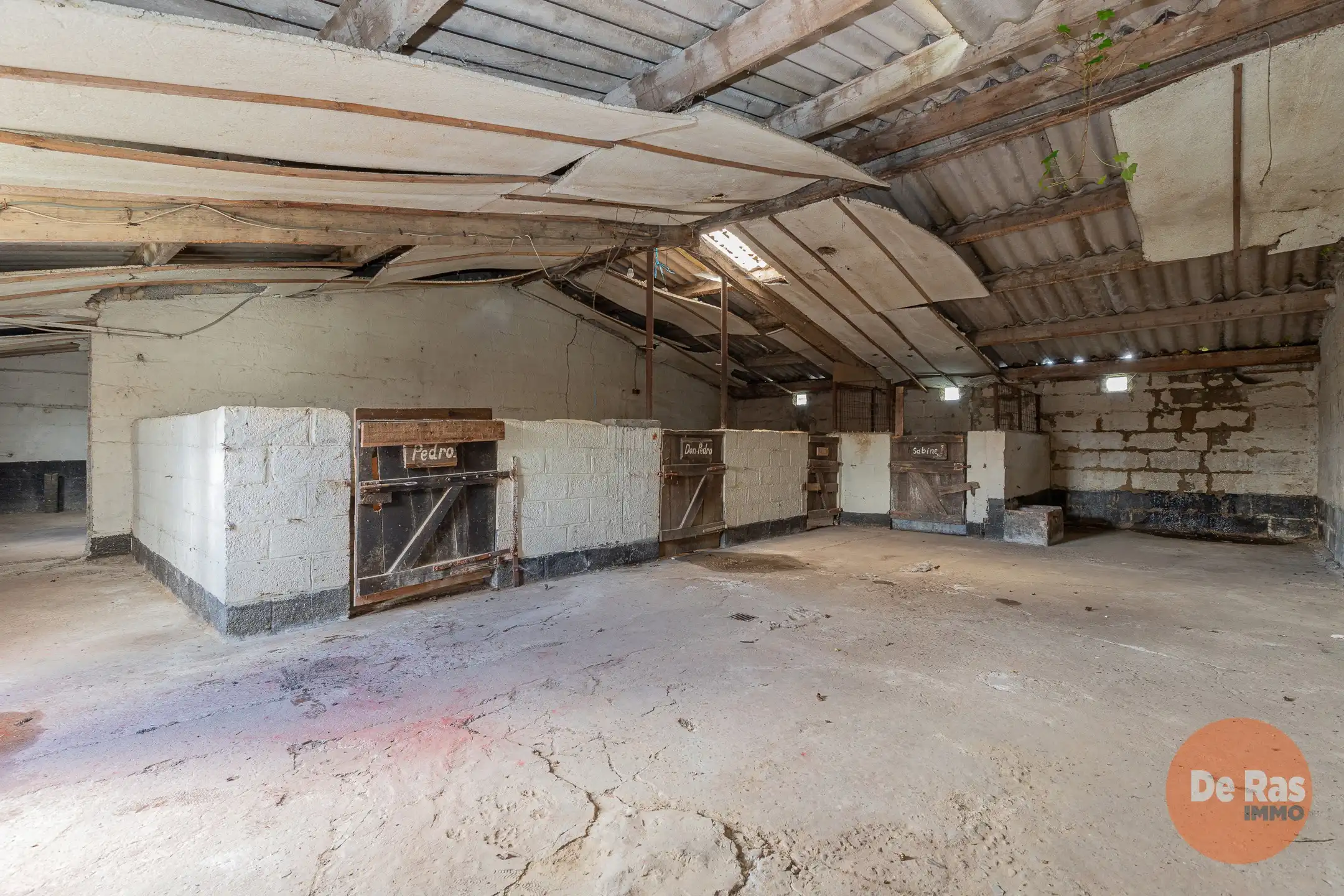 HOFSTADE - Charmante gelegen woning met bijgebouwen  foto 28