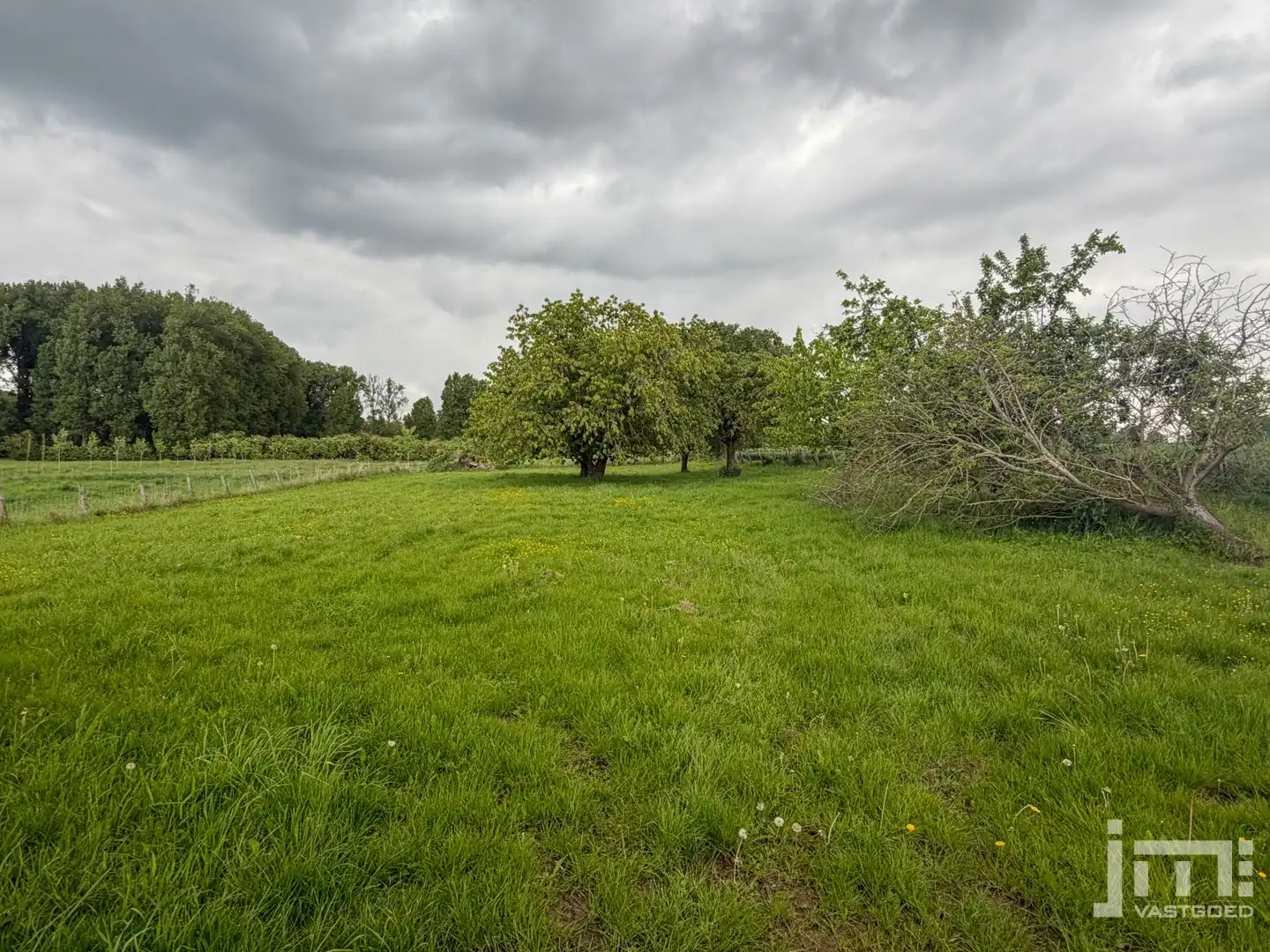 Woning met grote stallen foto 19