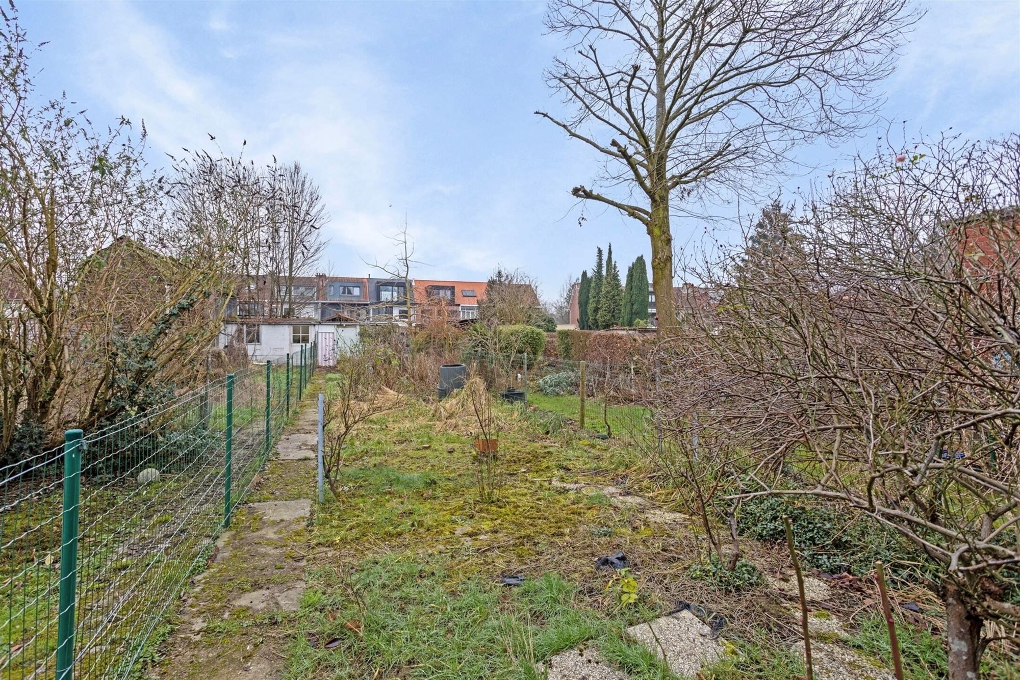 Te renoveren huis met tuin (266m²) grens Hove Mortsel foto 3