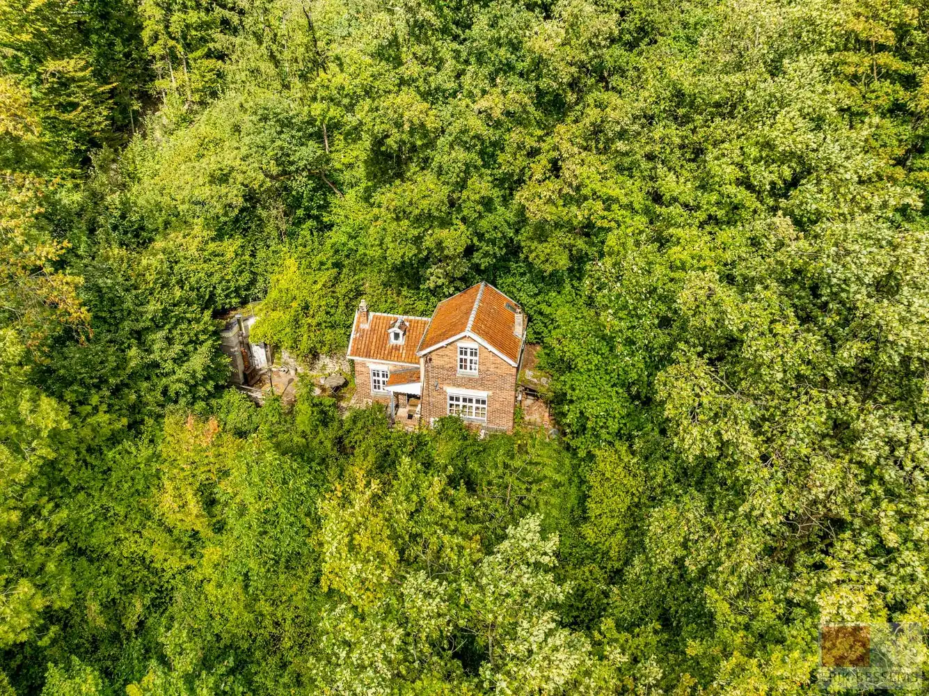 Uitzonderlijke boswoning foto 25