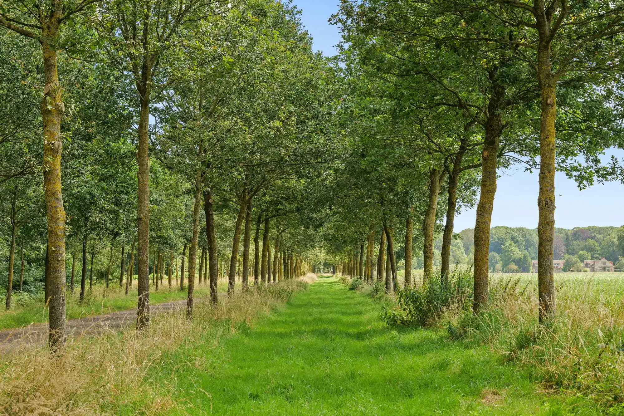 Magnifiek landhuis in een prachtig domein van ca 10ha foto 16