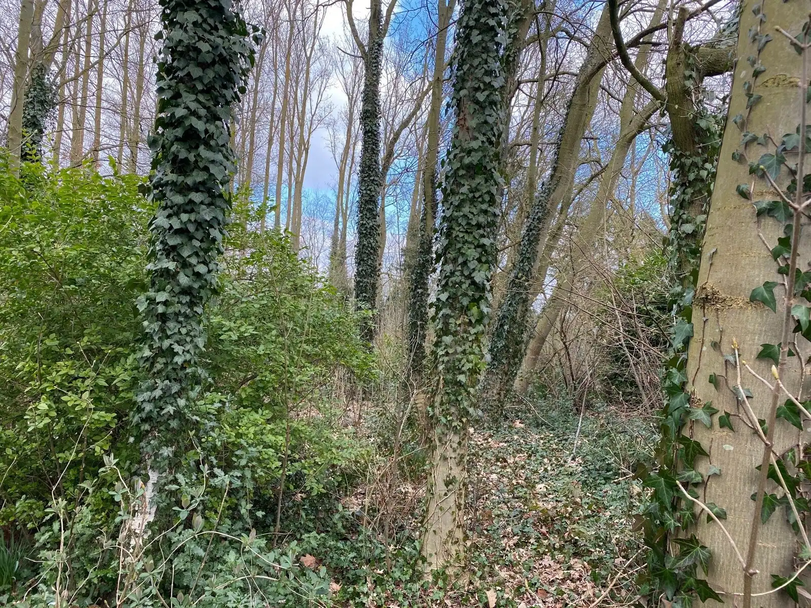 Centraal gelegen bouwgrond voor drie-gevel foto 5
