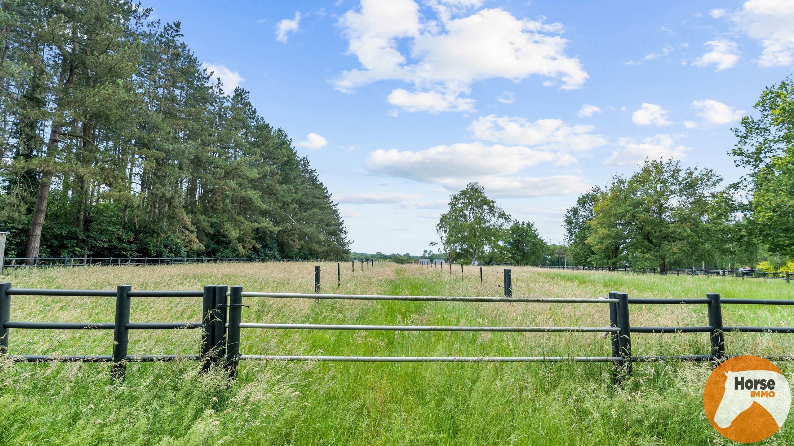 NEEROETEREN - Woning met paardenstallen op +/- 1ha70 foto 27