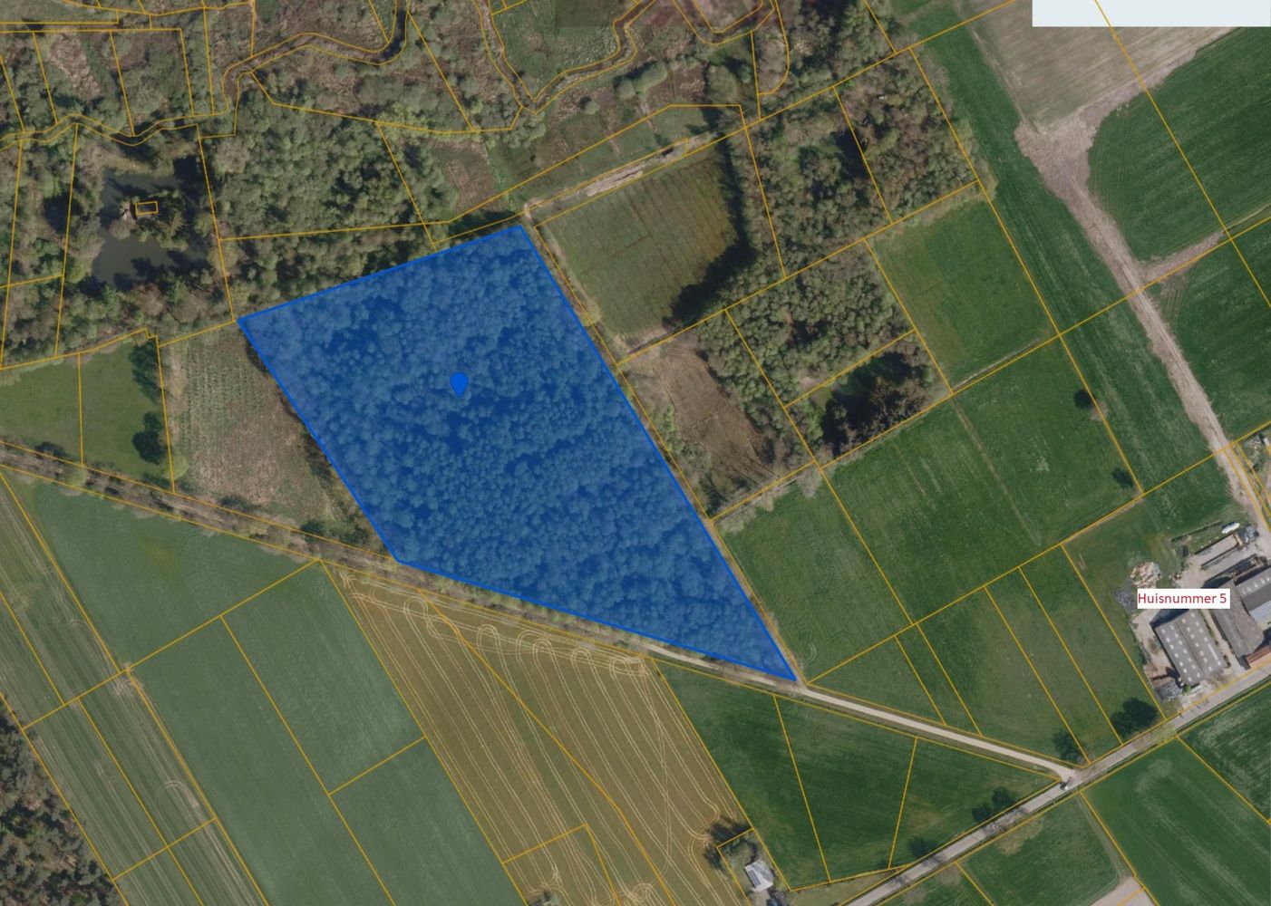 Bosgrond van maar liefst 3HA12A groot foto {{pictureIndex}}