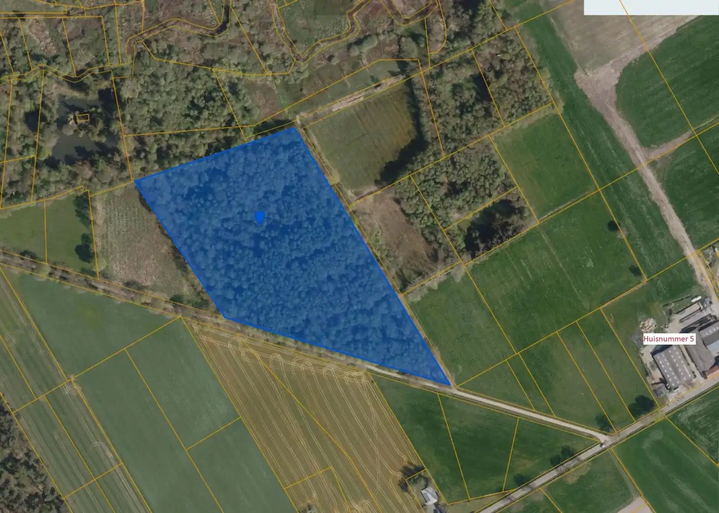 Bosgrond van maar liefst 3HA12A groot foto {{pictureIndex}}