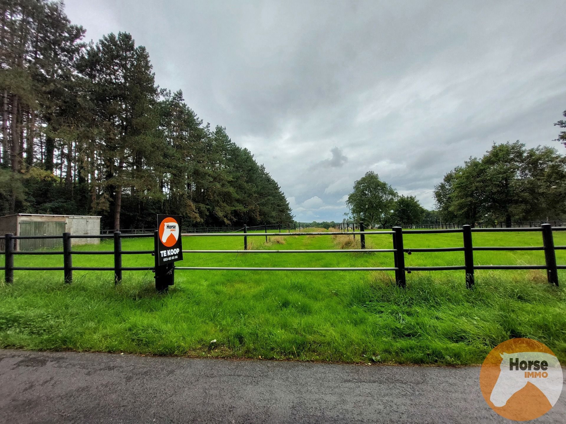 NEEROETEREN - Woning met paardenstallen op +/- 1ha70 foto 24