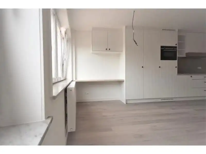 Gerenoveerd éénslaapkamerappartement foto 6