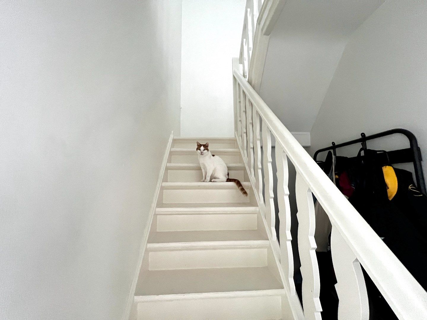 Woning met tuin en 3 slaapkamers te huur te Heule. foto 13