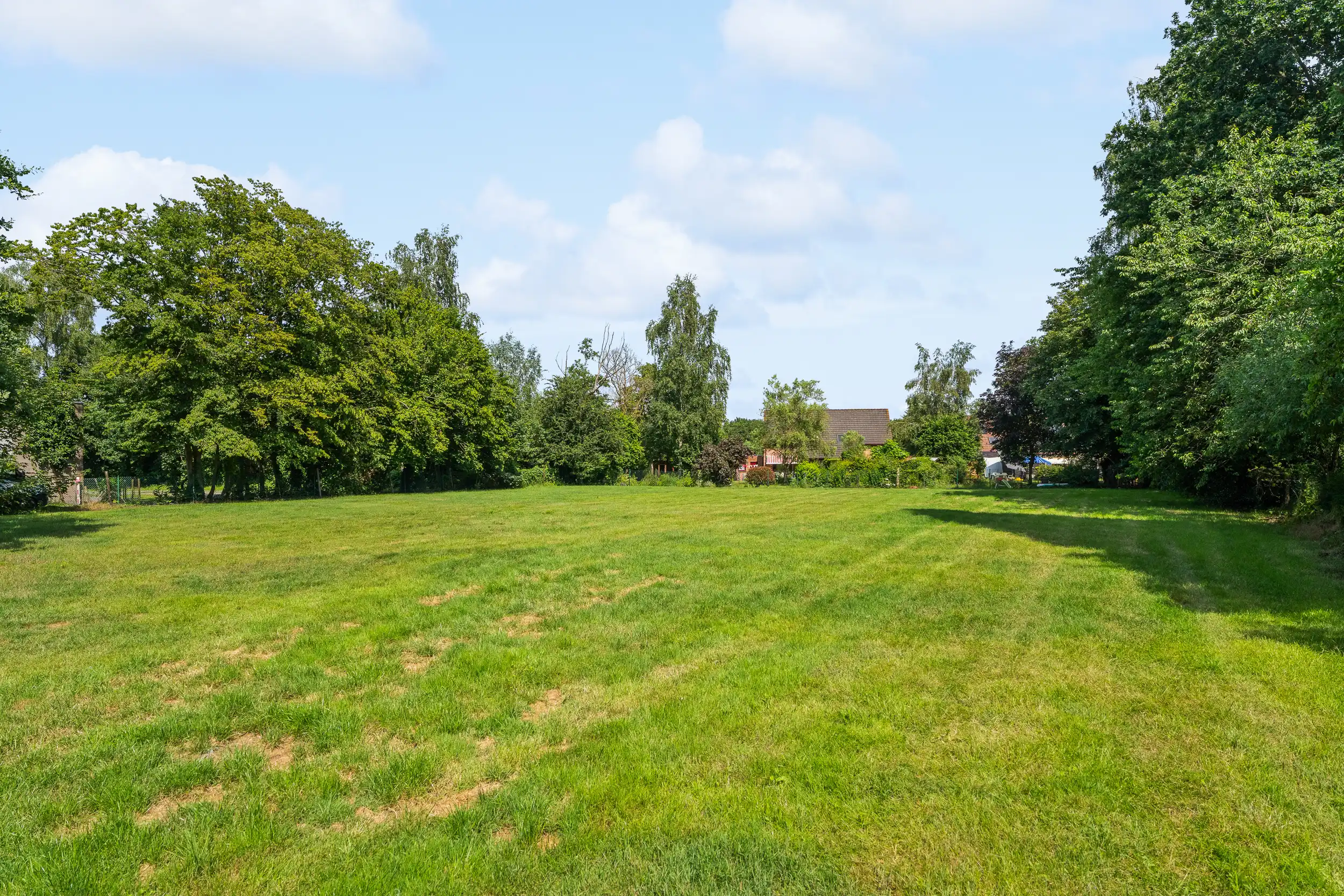Gerenoveerde woning + achterliggend perceel ( 3.359 m²) foto 26