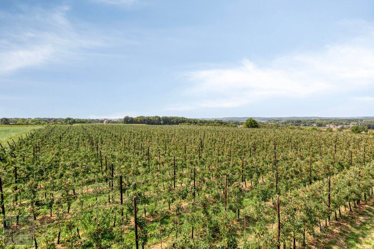 Landelijke (ver)nieuwbouw foto 35