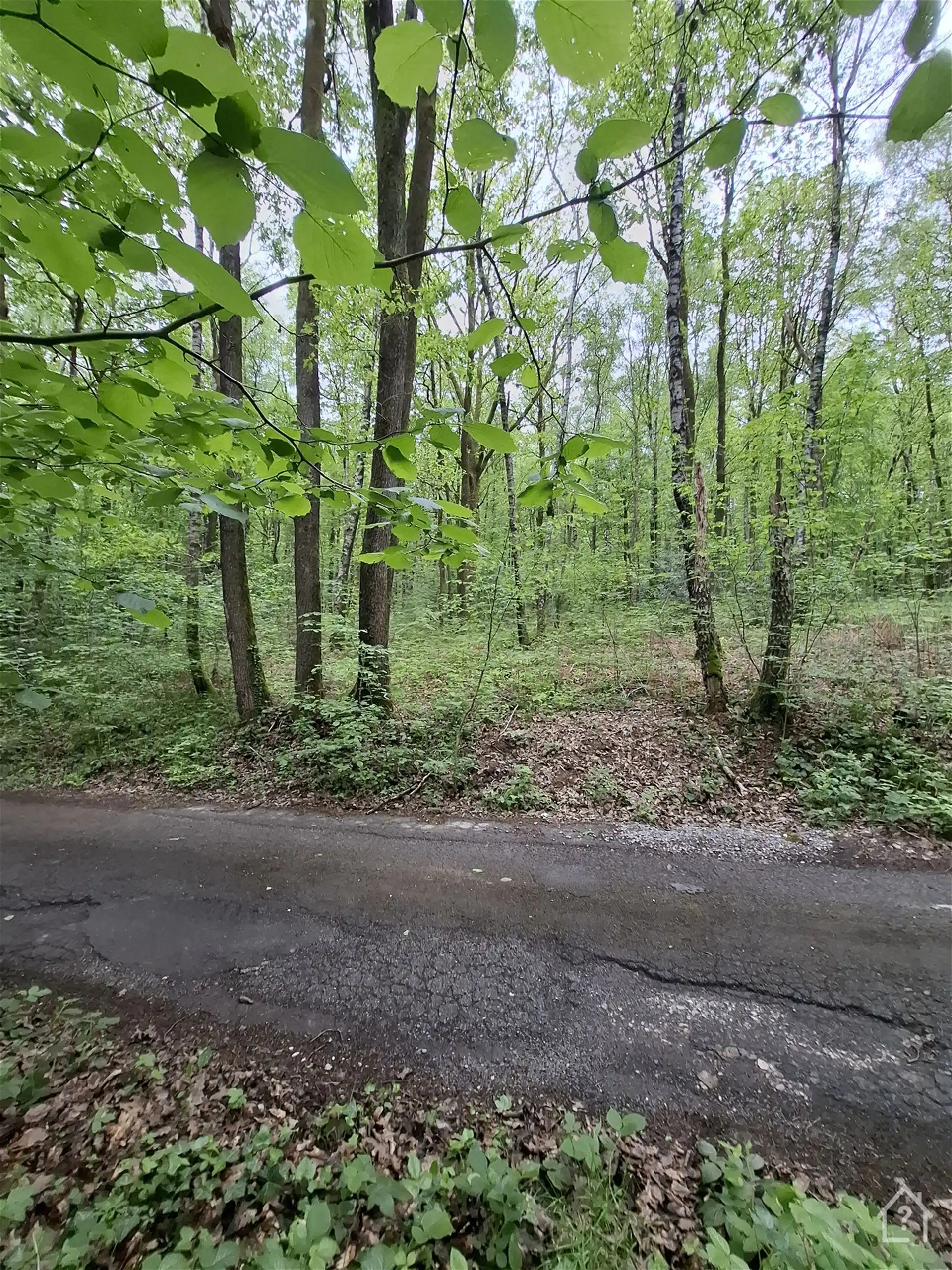 Recreatiegrond midden in het Groene Hart van de Ardennen foto 2