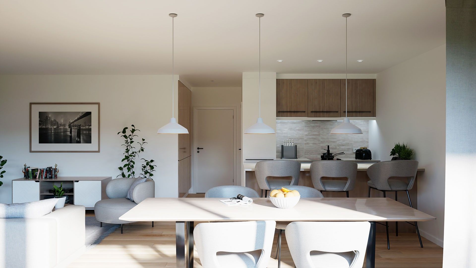 ENERGIEZUINIGE NIEUWBOUW PENTHOUSE MET TERRAS foto 3