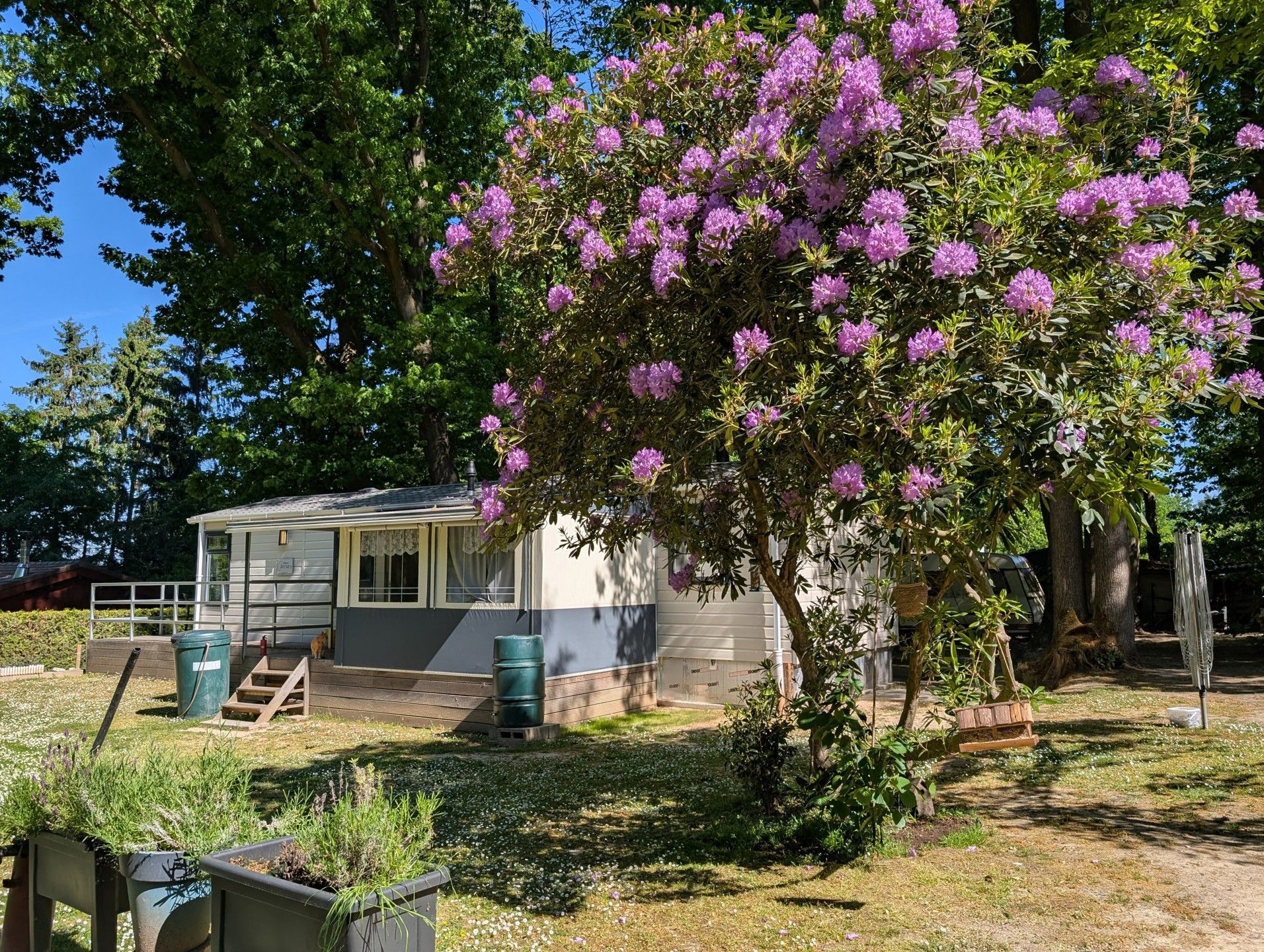 gezellige vaste caravan te midden van de natuur foto 3
