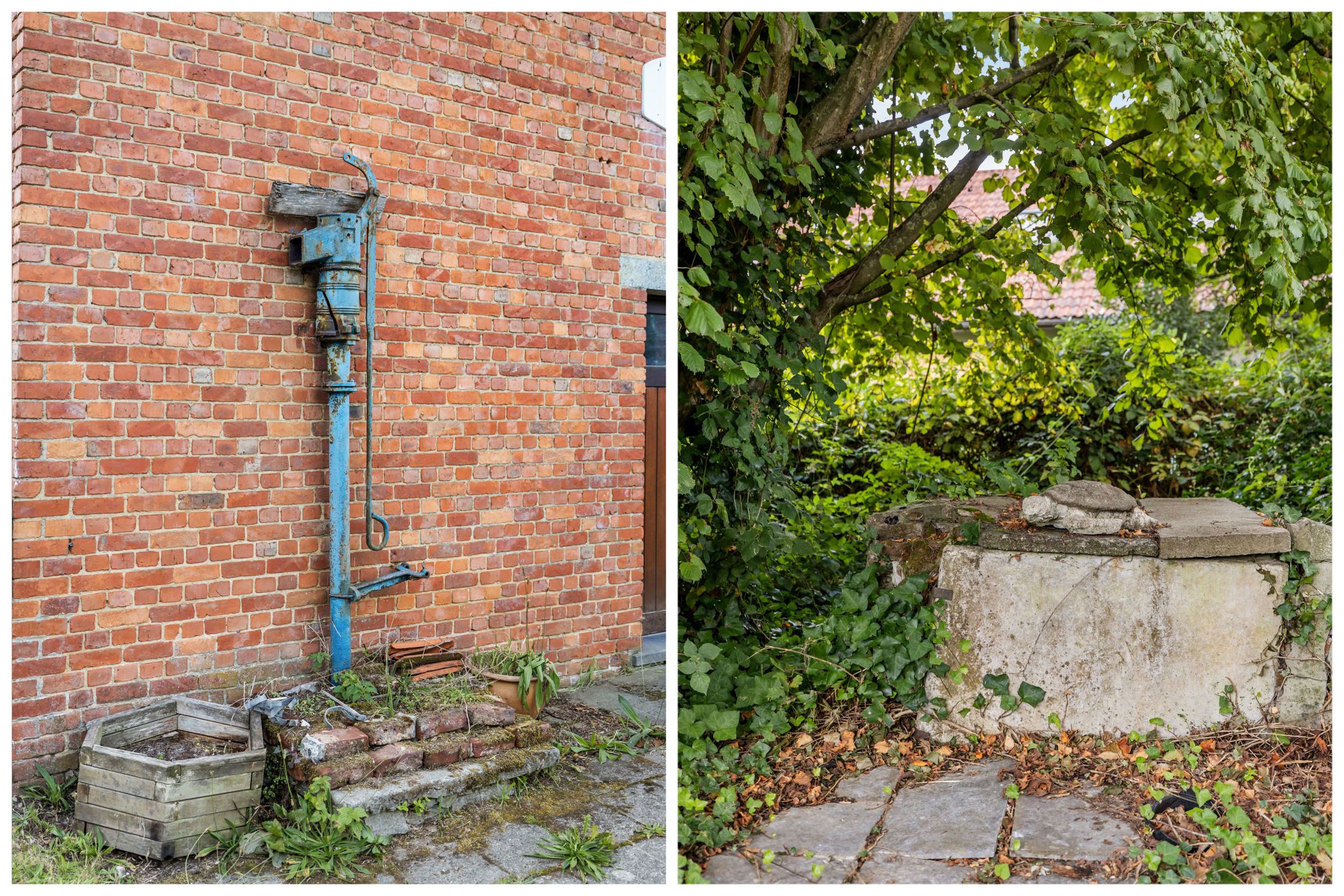 Gezellige woning met natuurlijke tuin/bosje  op +/- 18a50 foto 4