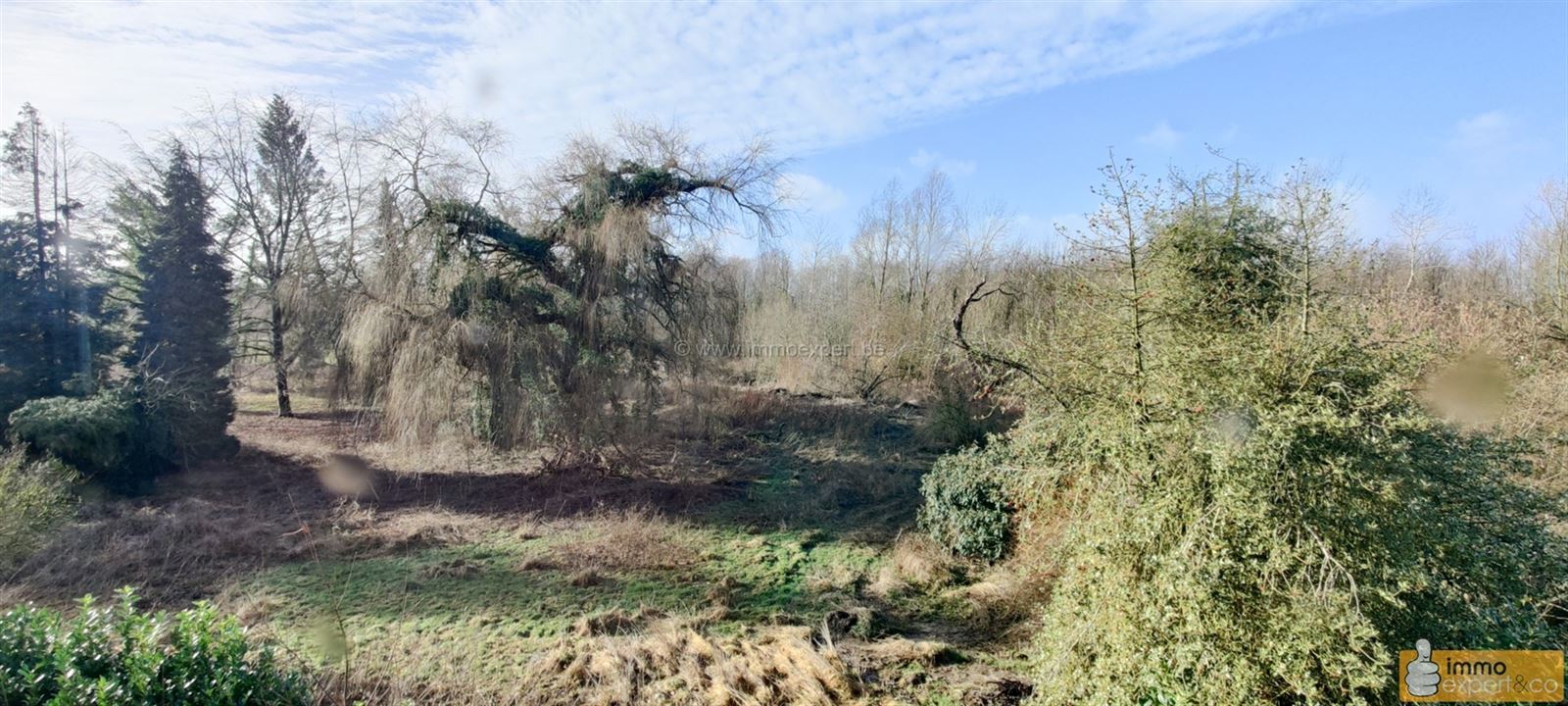 AFFLIGEM: Uitzonderlijk vastgoed - Landhuis De Kluis foto 10