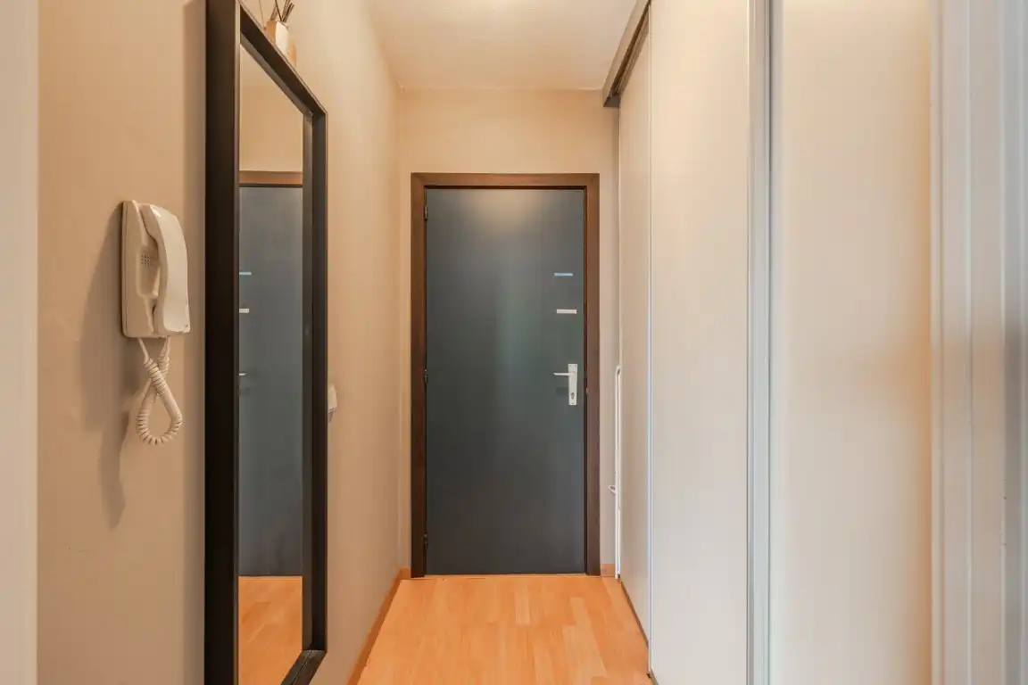 Vernieuwde studio met slaaphoek  foto 10