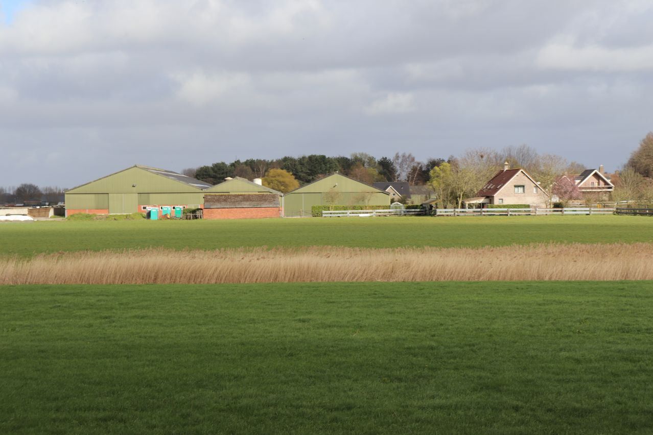 Hoeve geschikt voor hippische accomodatie te koop te Terneuzen foto 14