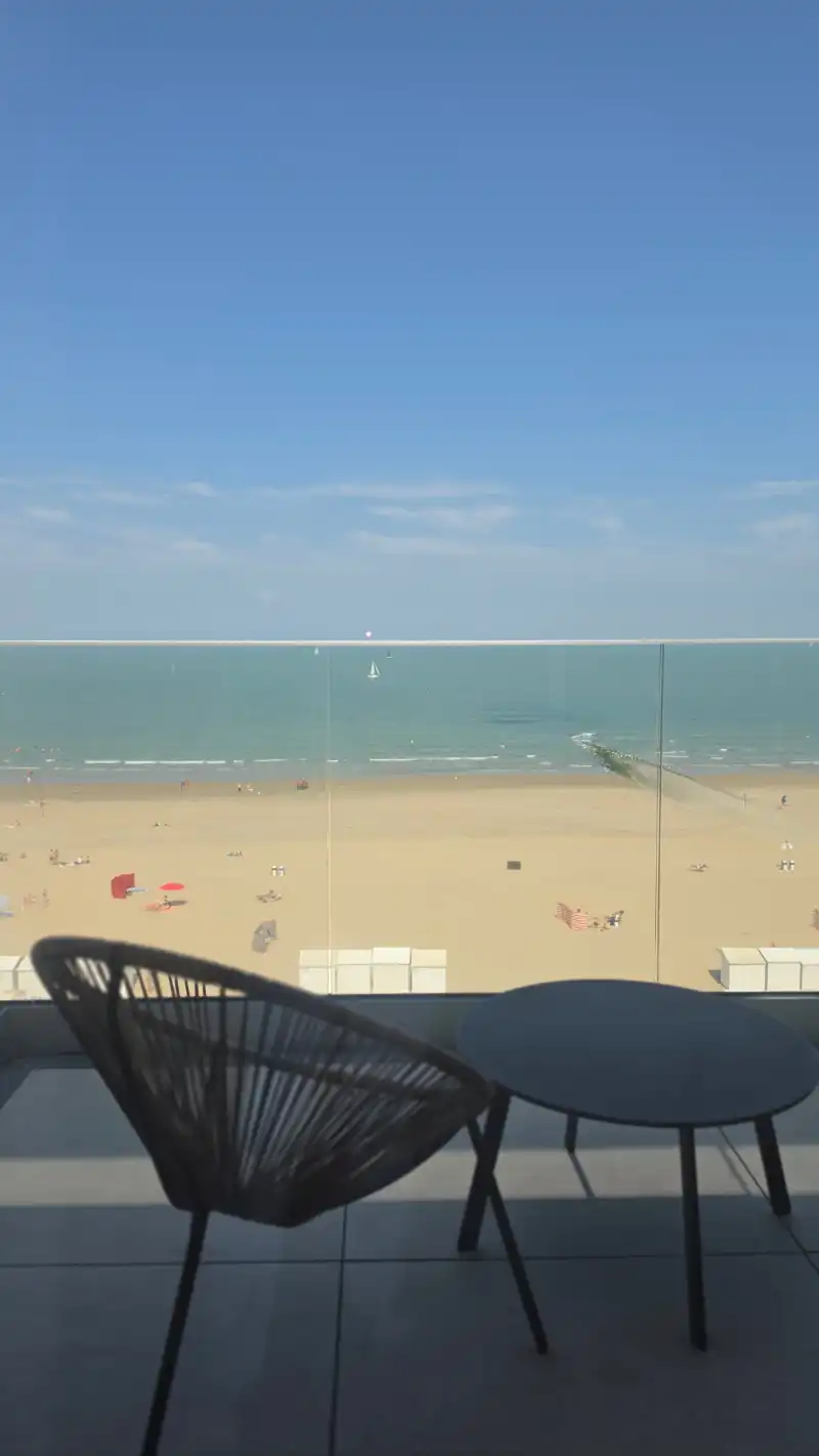 Volledig gerenoveerde penthouse met twee dakterrassen en zeezicht! foto 10