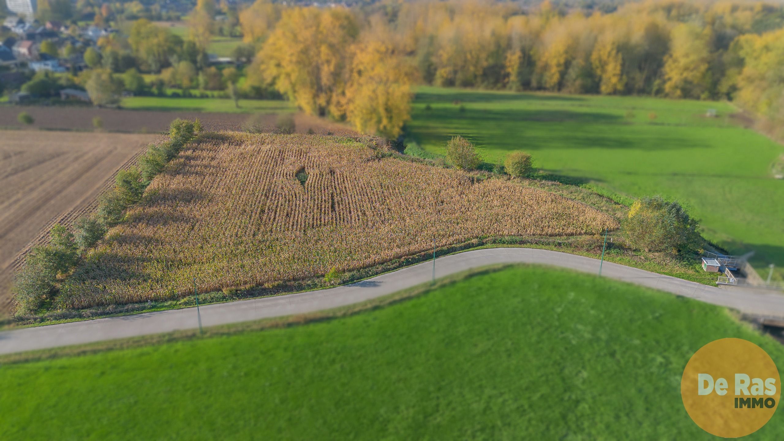 AALST - Landbouwgrond/weide 81a foto 2