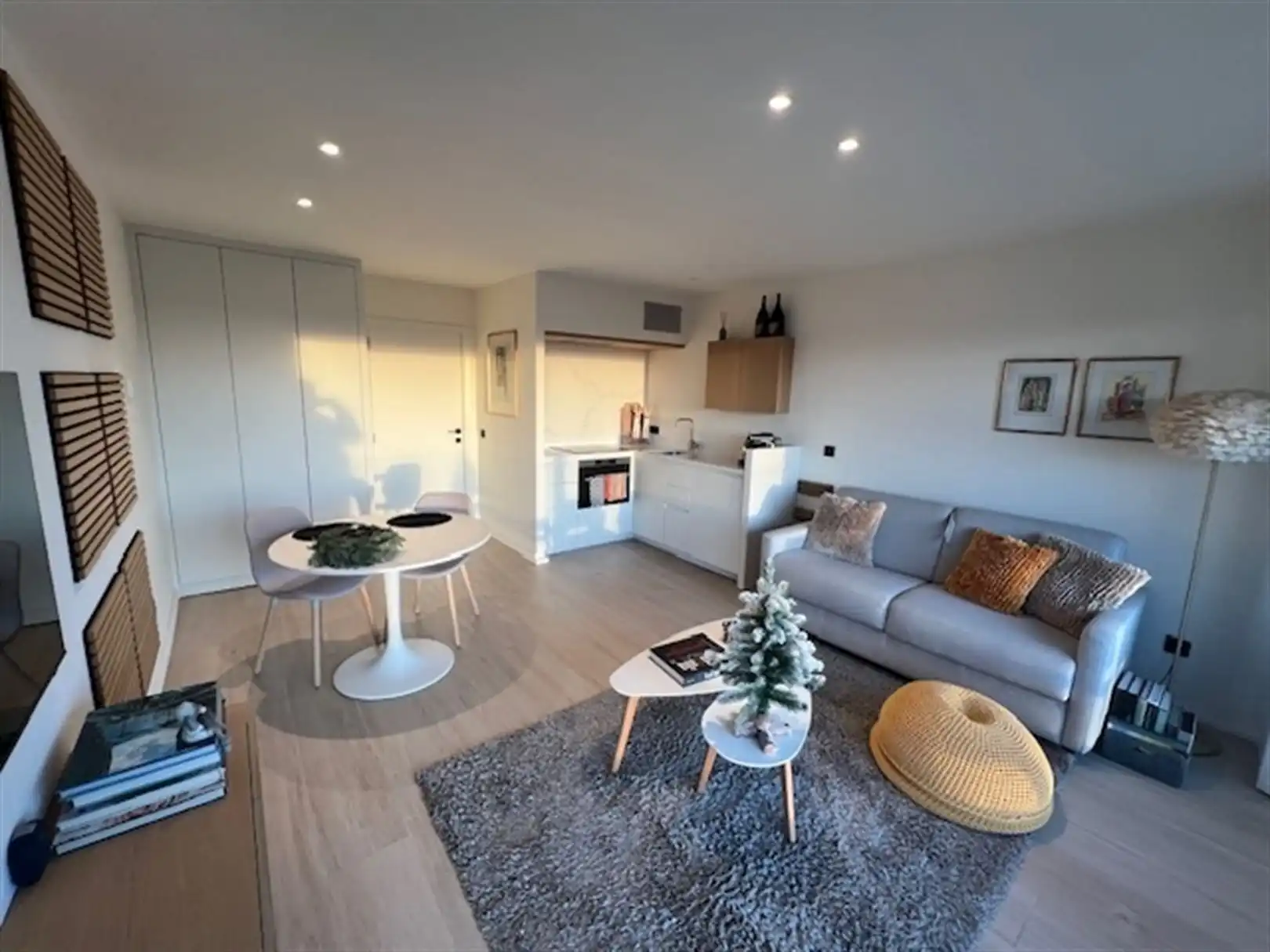 Compleet vernieuwde studio met zicht op duinen zuidgerciht foto 2