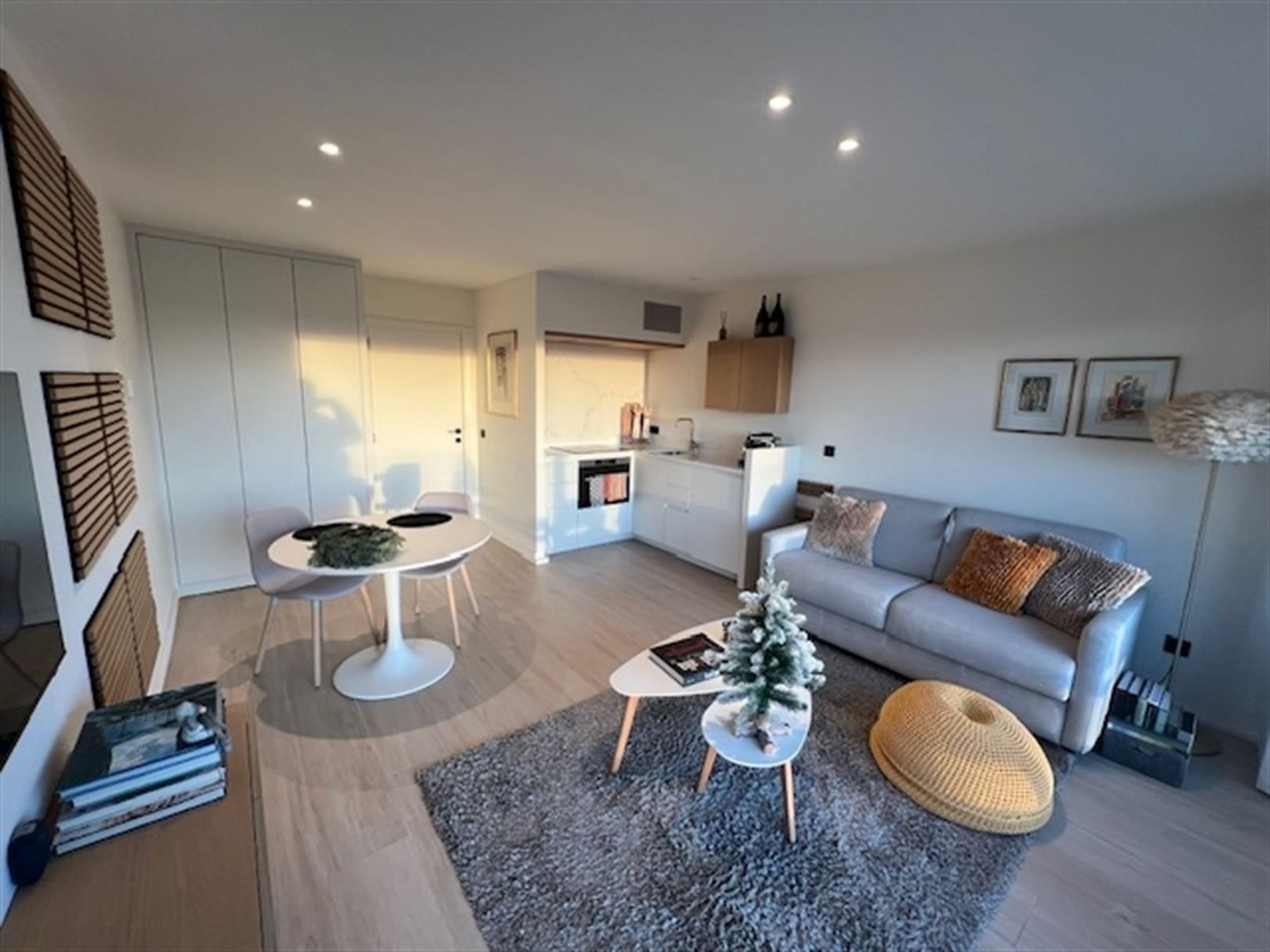 Compleet vernieuwde studio met zicht op duinen zuidgerciht foto 2