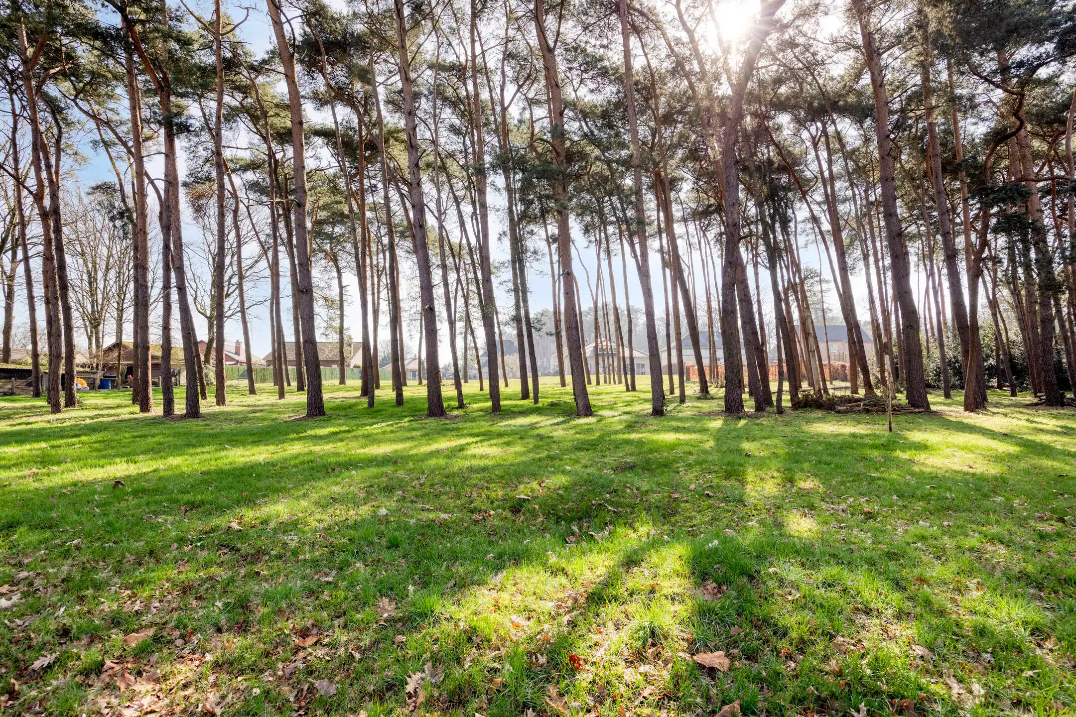 Bouwgrond voor open bebouwing op een ruim perceel van 30 are foto 5