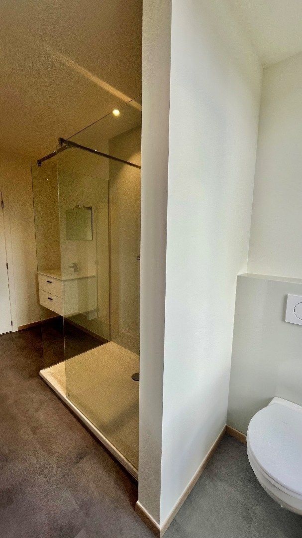 Grote woning met inpandig terras, 3 kamers, tuin,... foto 12