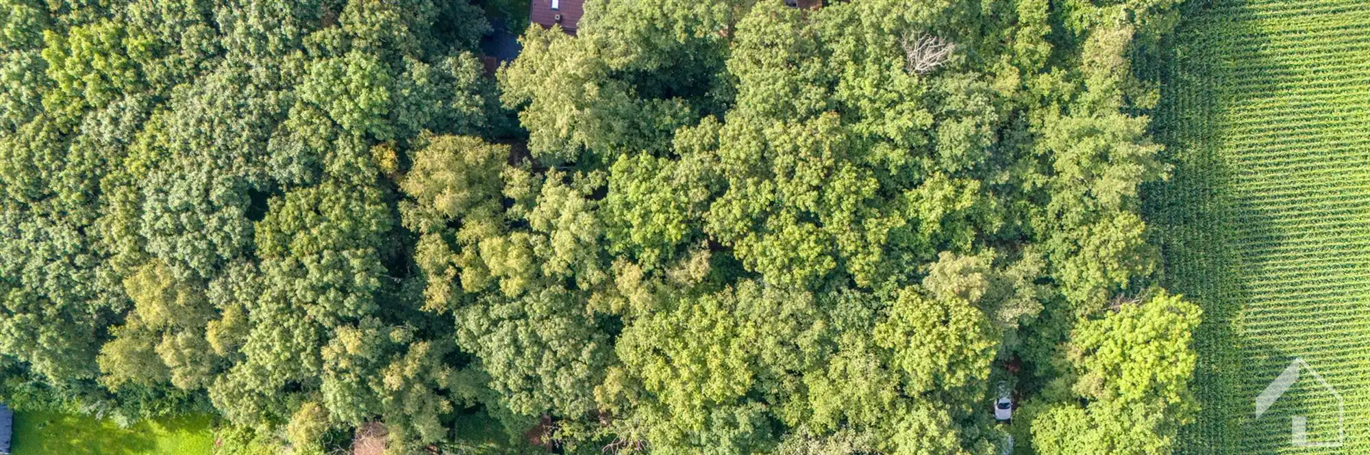 Recreatiegrond in het groen foto 15