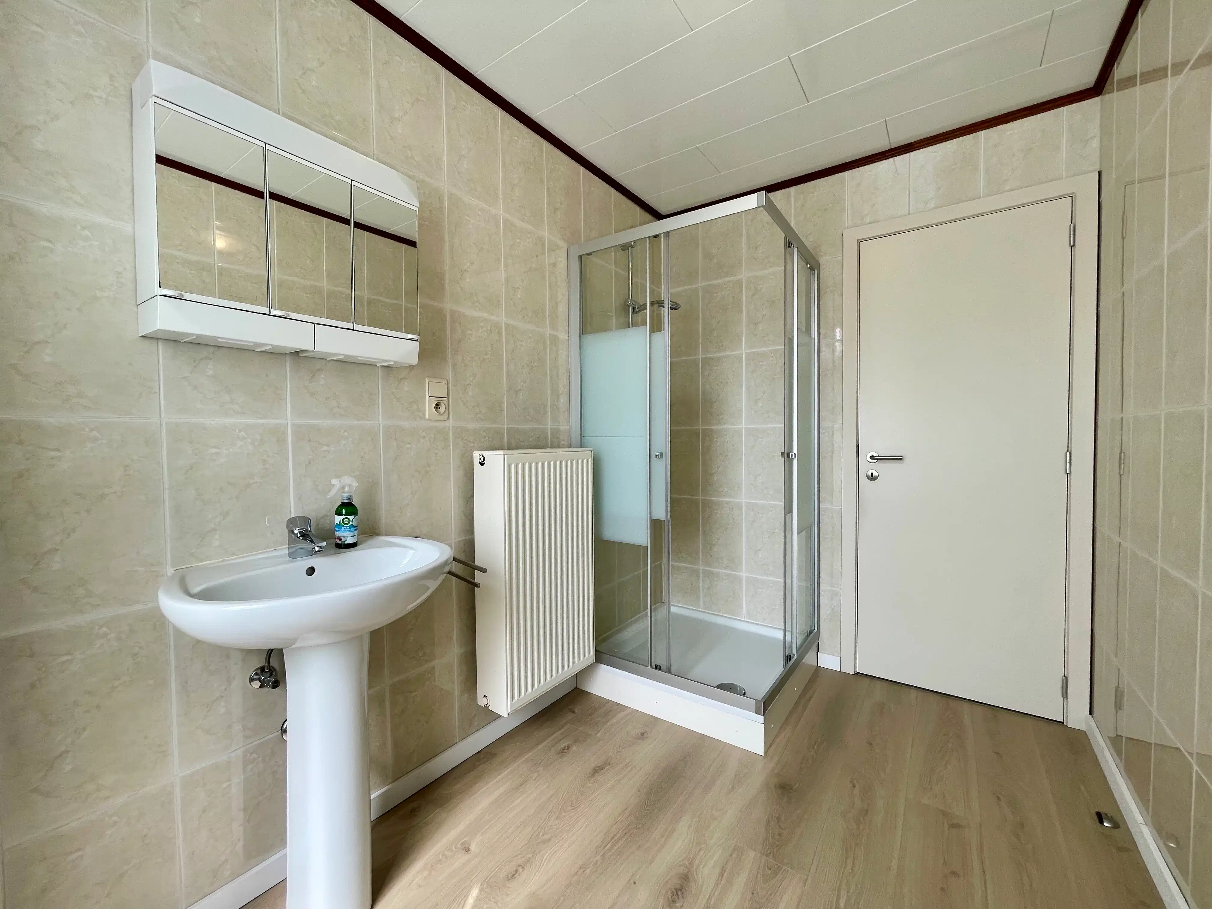 instapklaar 1 slaapkamer-appartement te huur in Zelzate foto 8