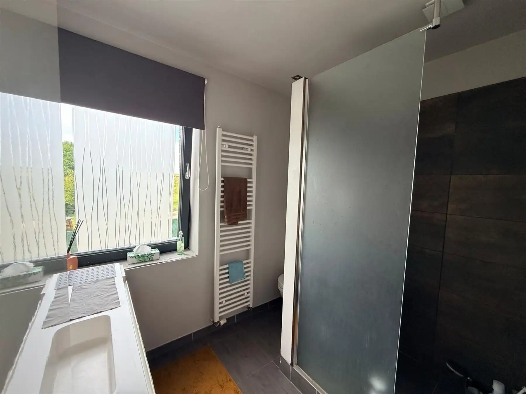 INSTAPKLARE WONING MET GEZELLIGE TUIN foto 10