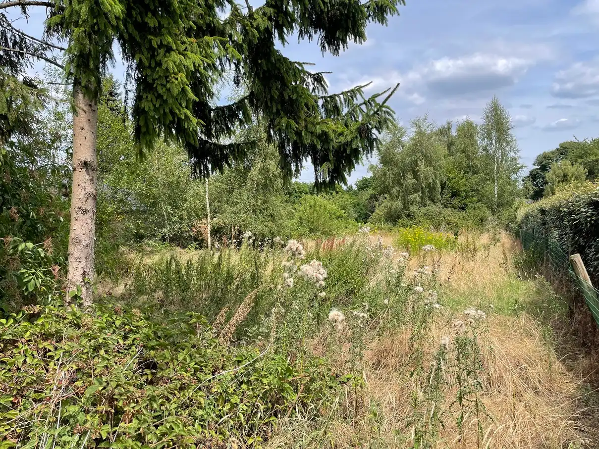 Toplocatie 3 slpks ruime tuin. foto 24